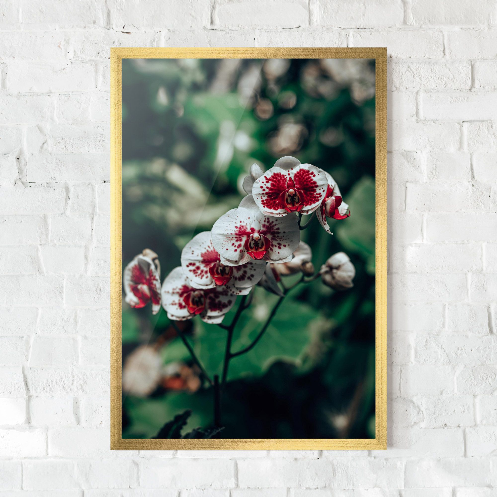 White Red Orchid mockup 0