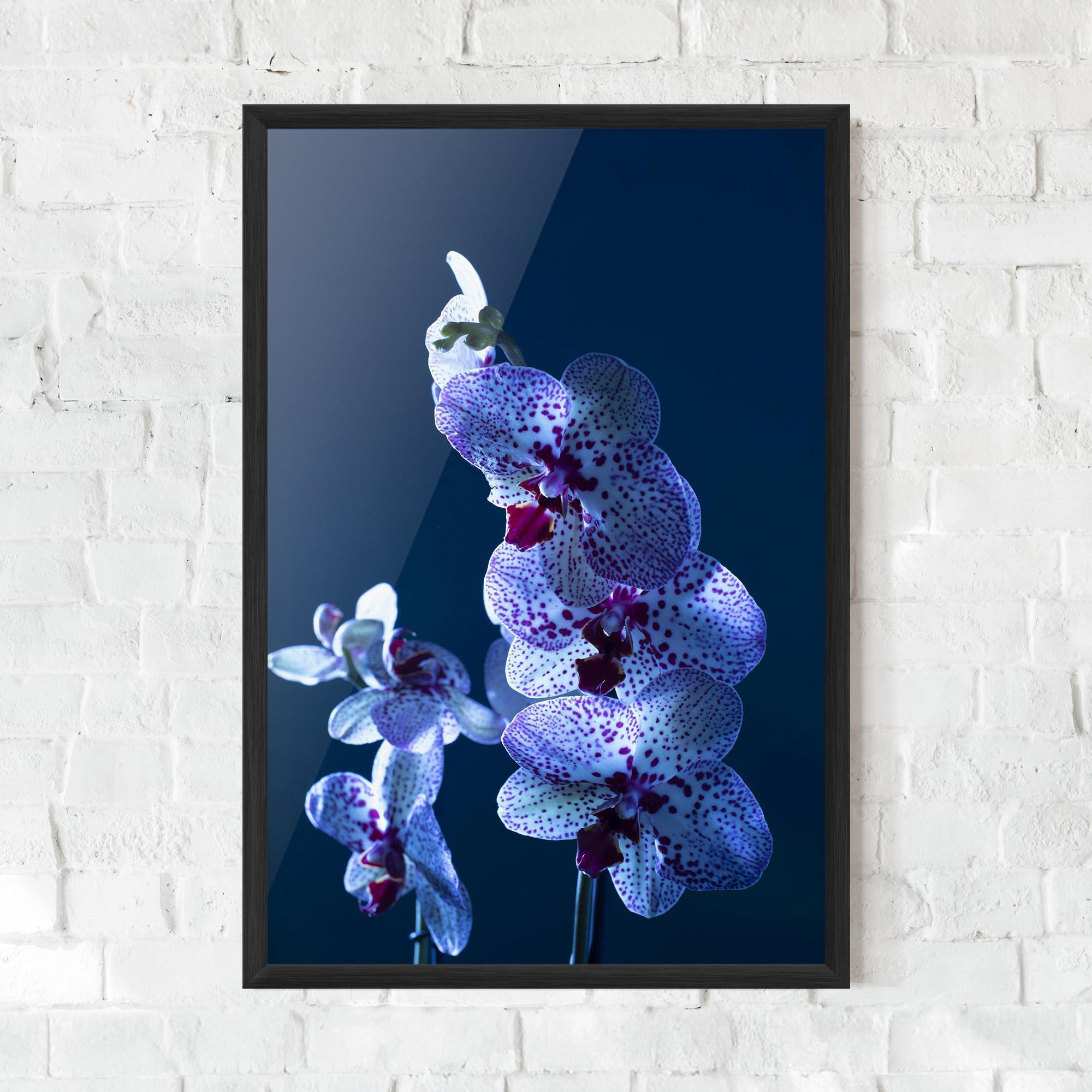 Gerahmte Poster Blue Light Orchid mockup 0