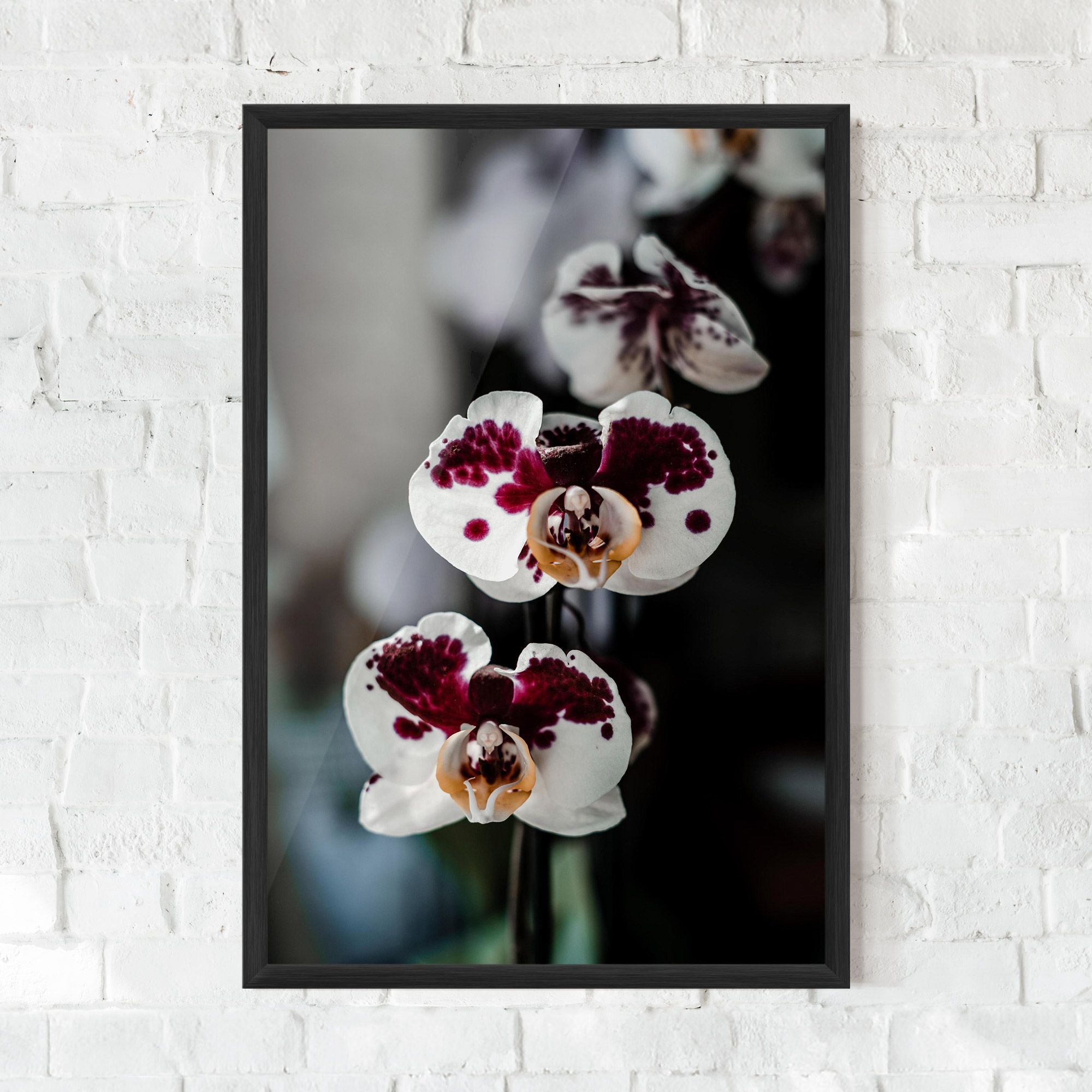 Dark Purple Orchid mockup 0