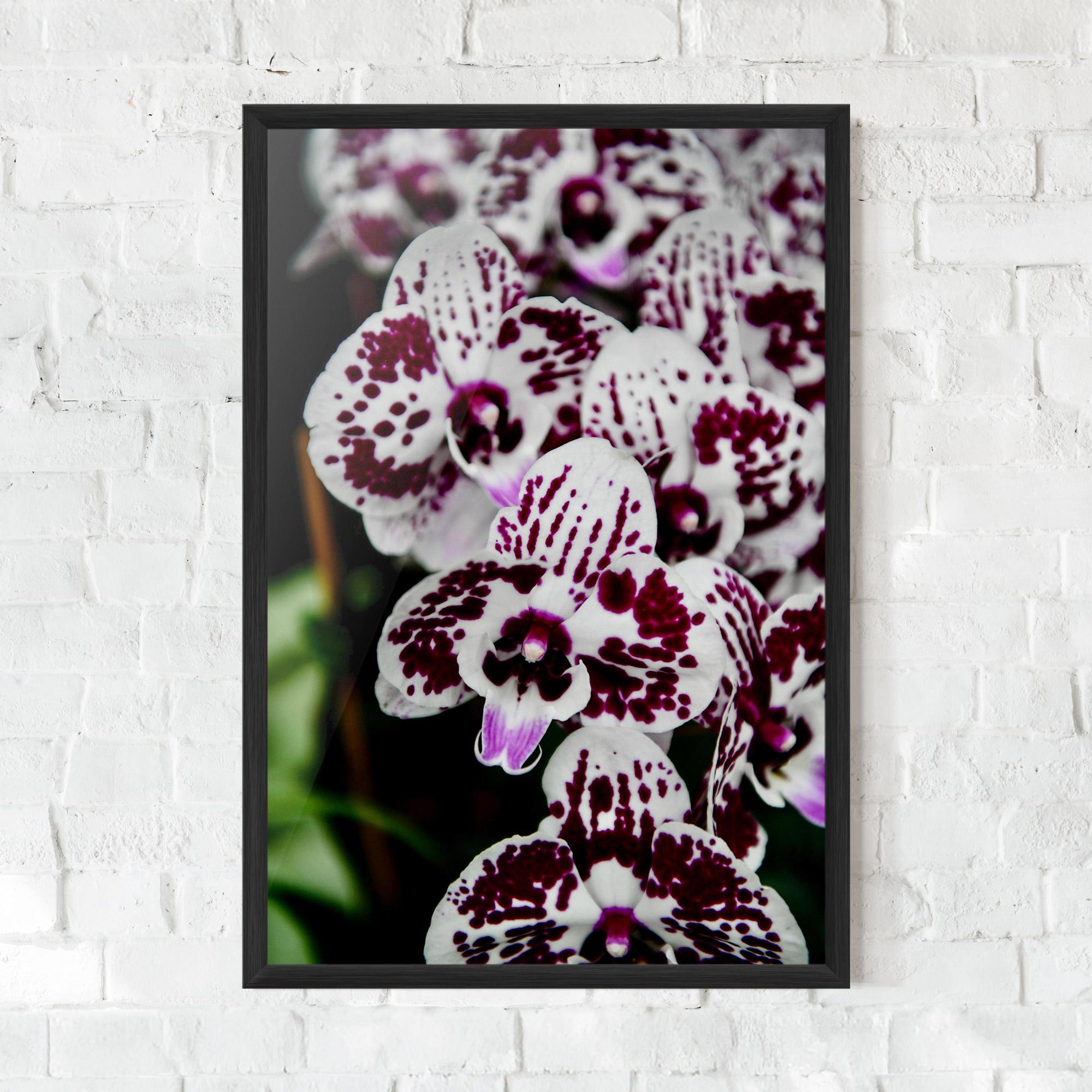 Gerahmte Poster Dark Purple Orchids mockup 0