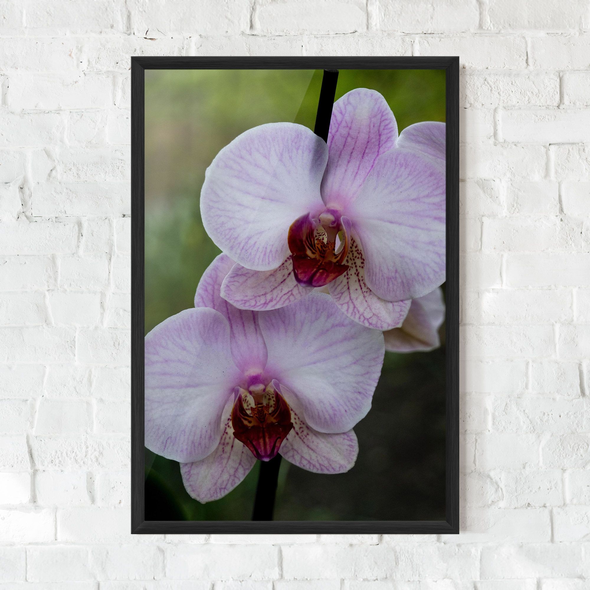 Garden Light Purple Orchid mockup 0