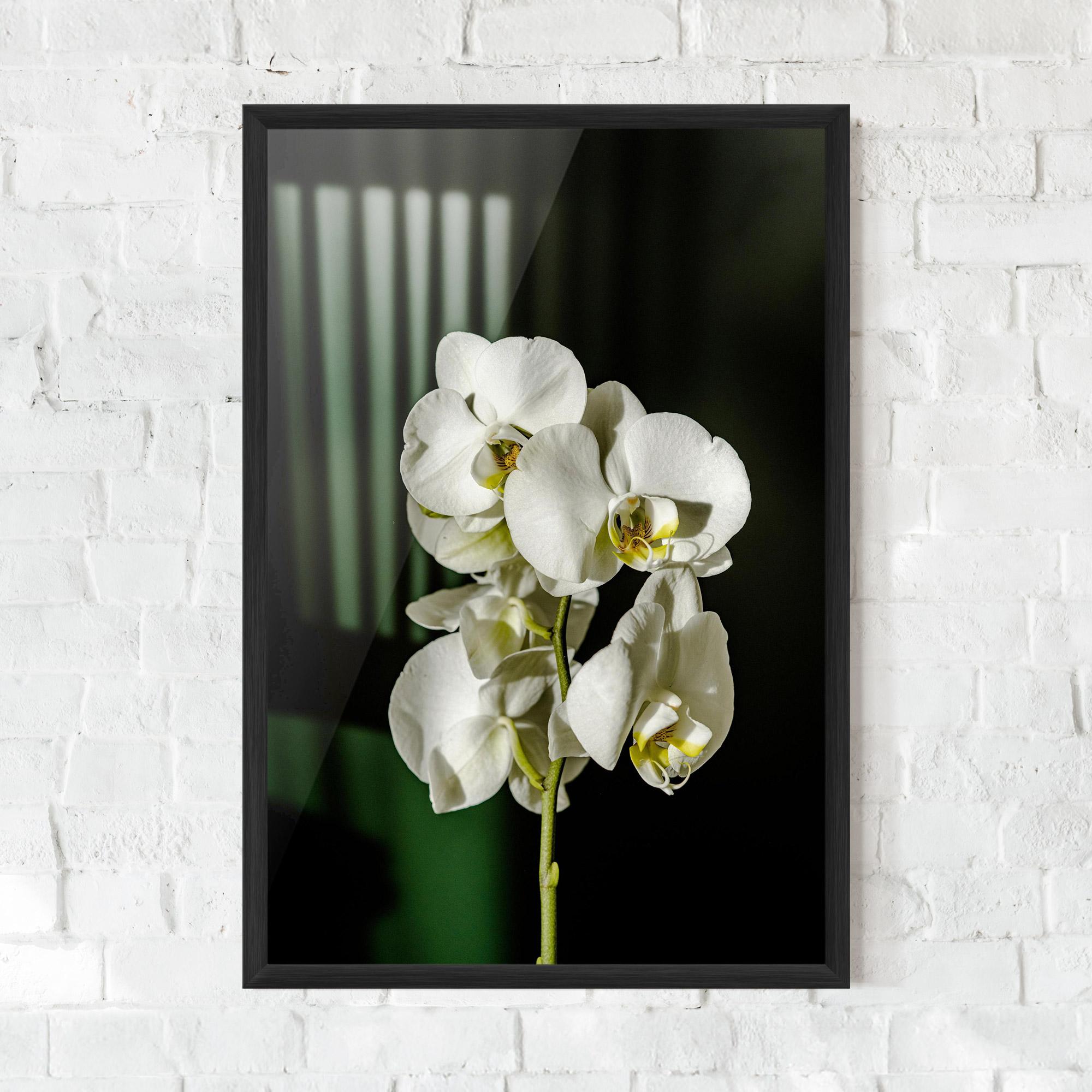Gerahmte Poster Orchid On Green mockup 0