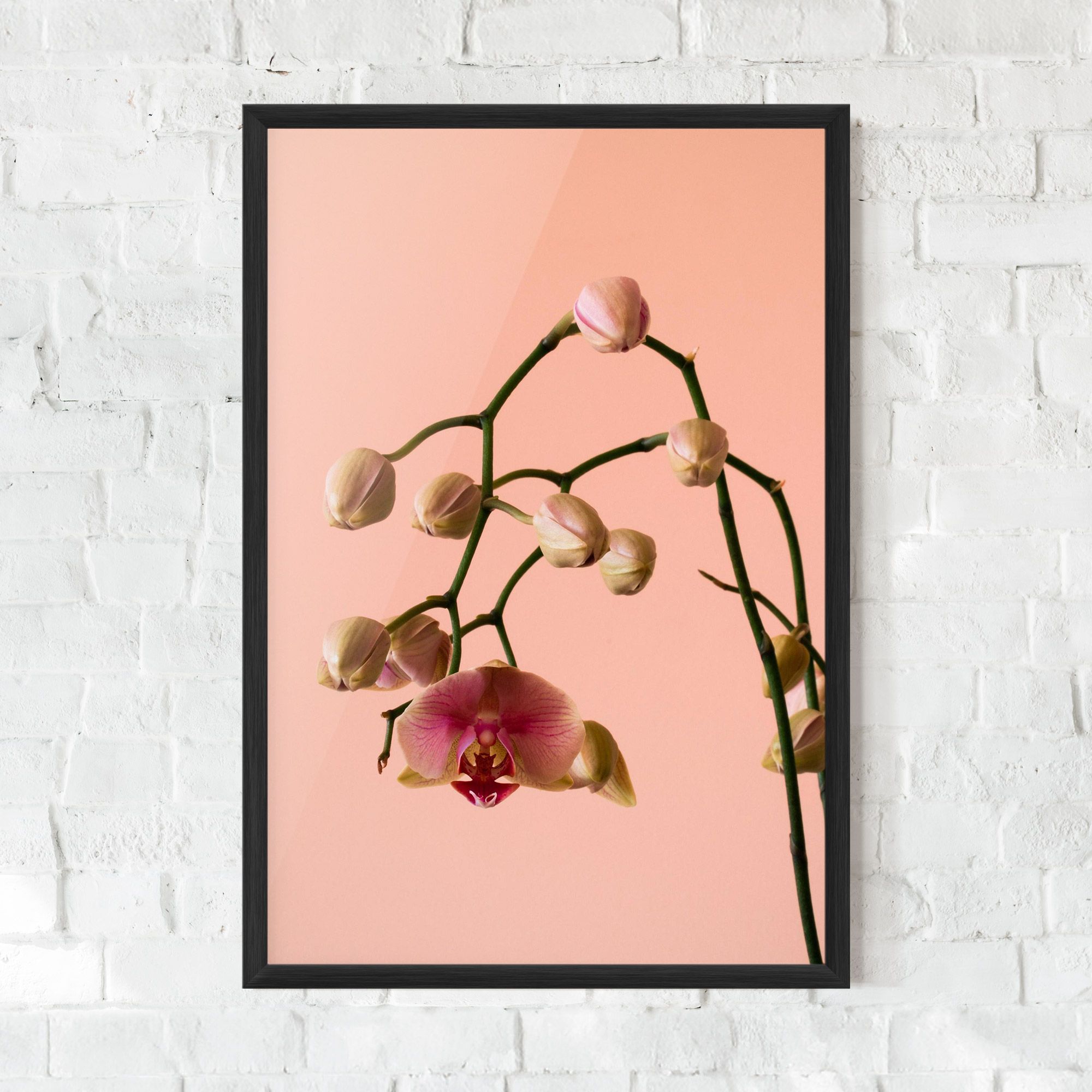 Orchids On Pink mockup 0