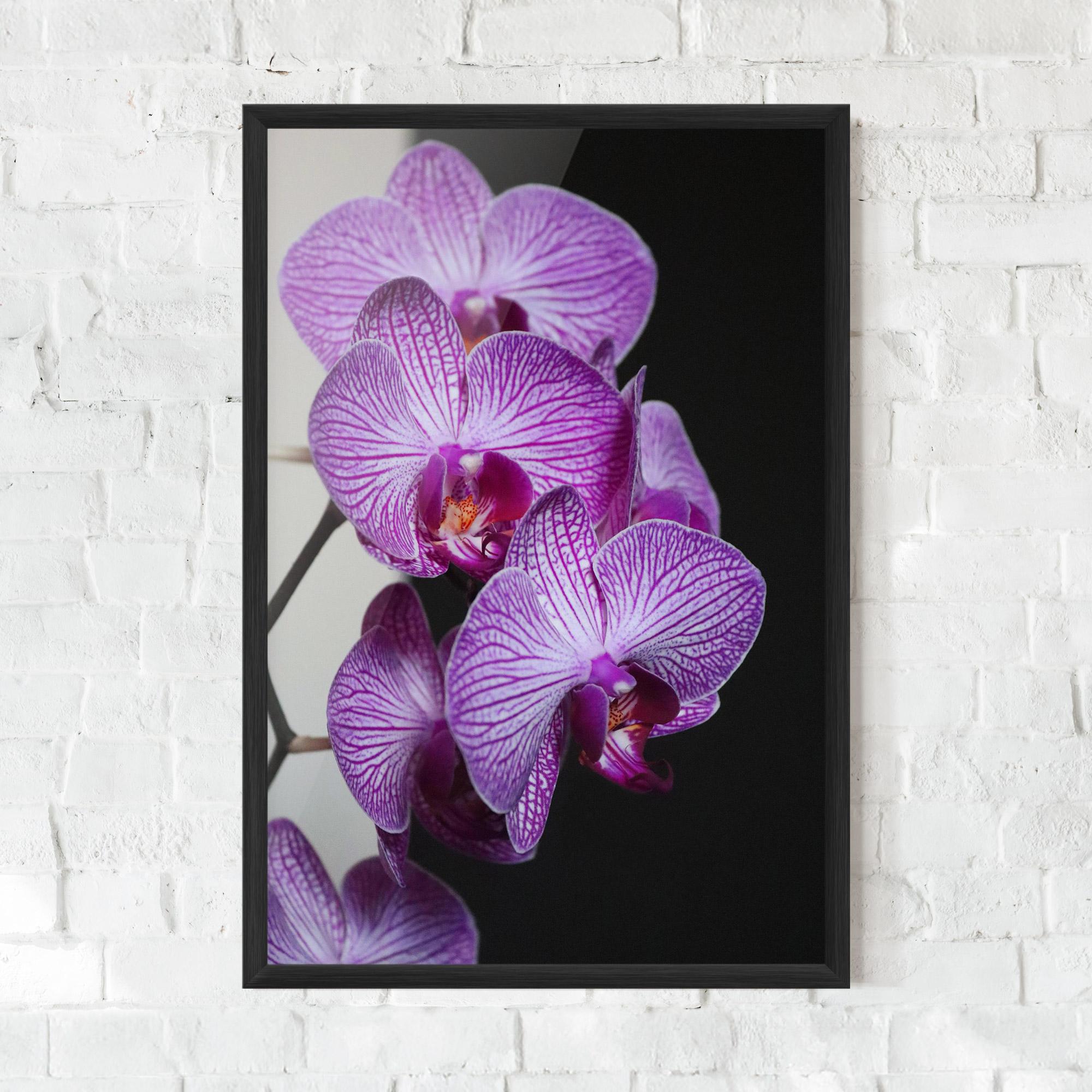 Gerahmte Poster Purple Orchid On Black mockup 0