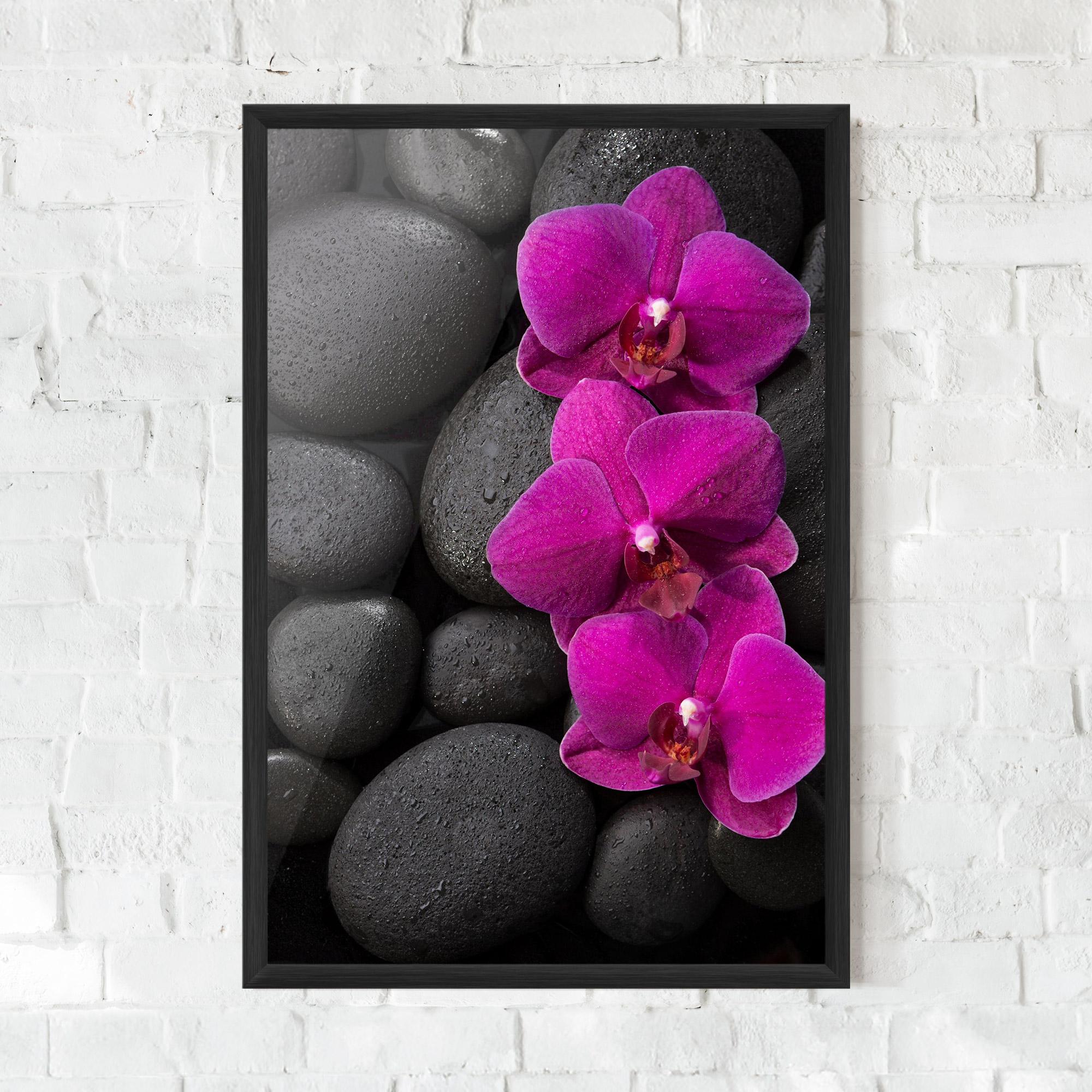 Gerahmte Poster Purple Orchid On Rocks mockup 0