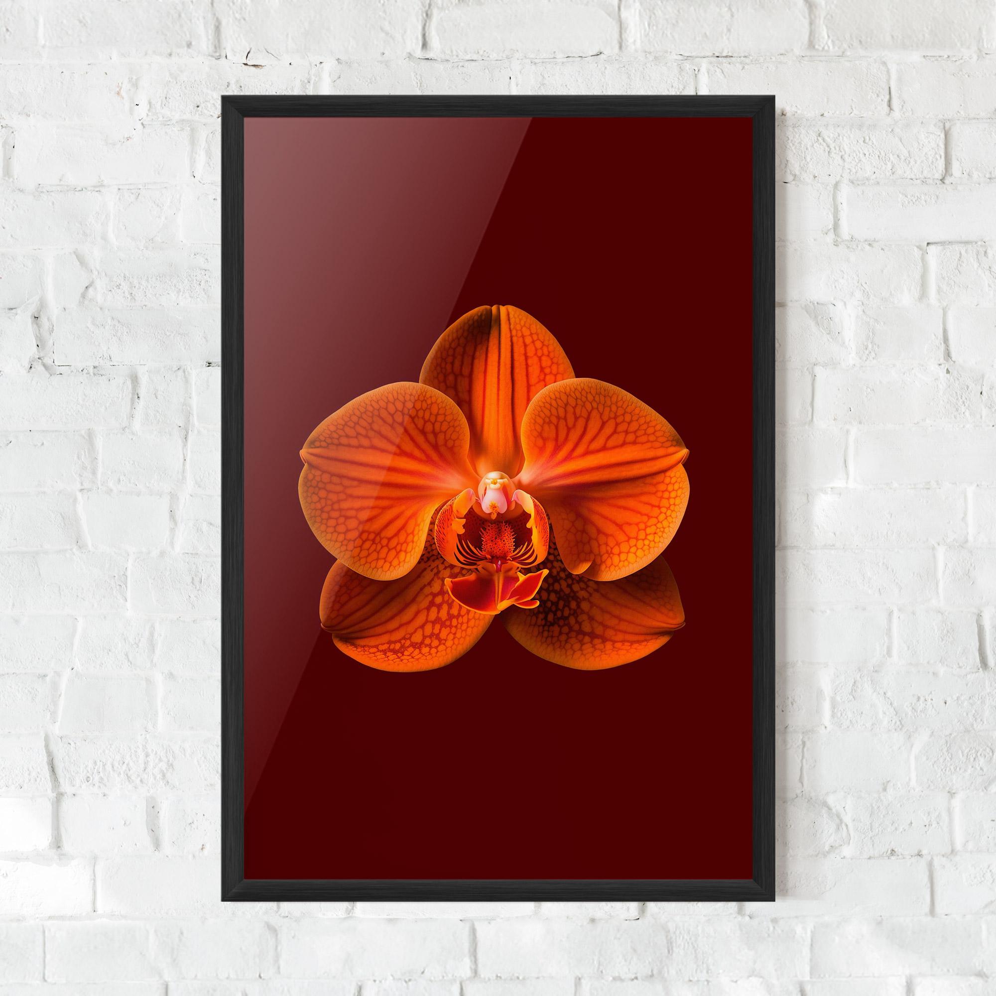 Gerahmte Poster Strong Orange Orchid mockup 0