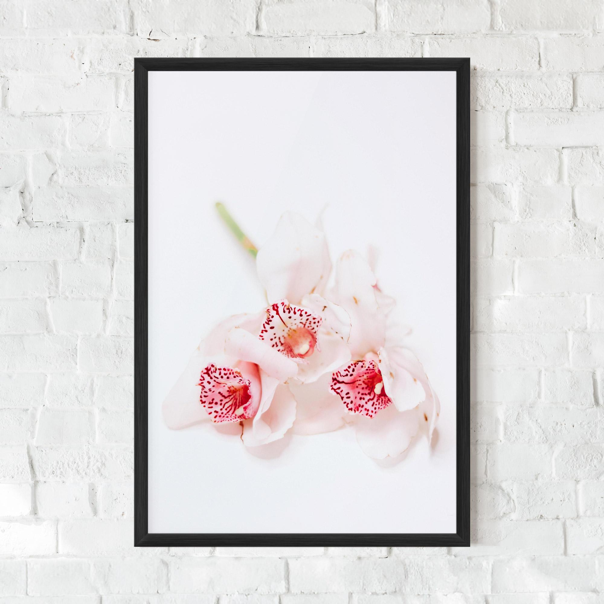 Gerahmte Poster White Orchid With Pink mockup 0