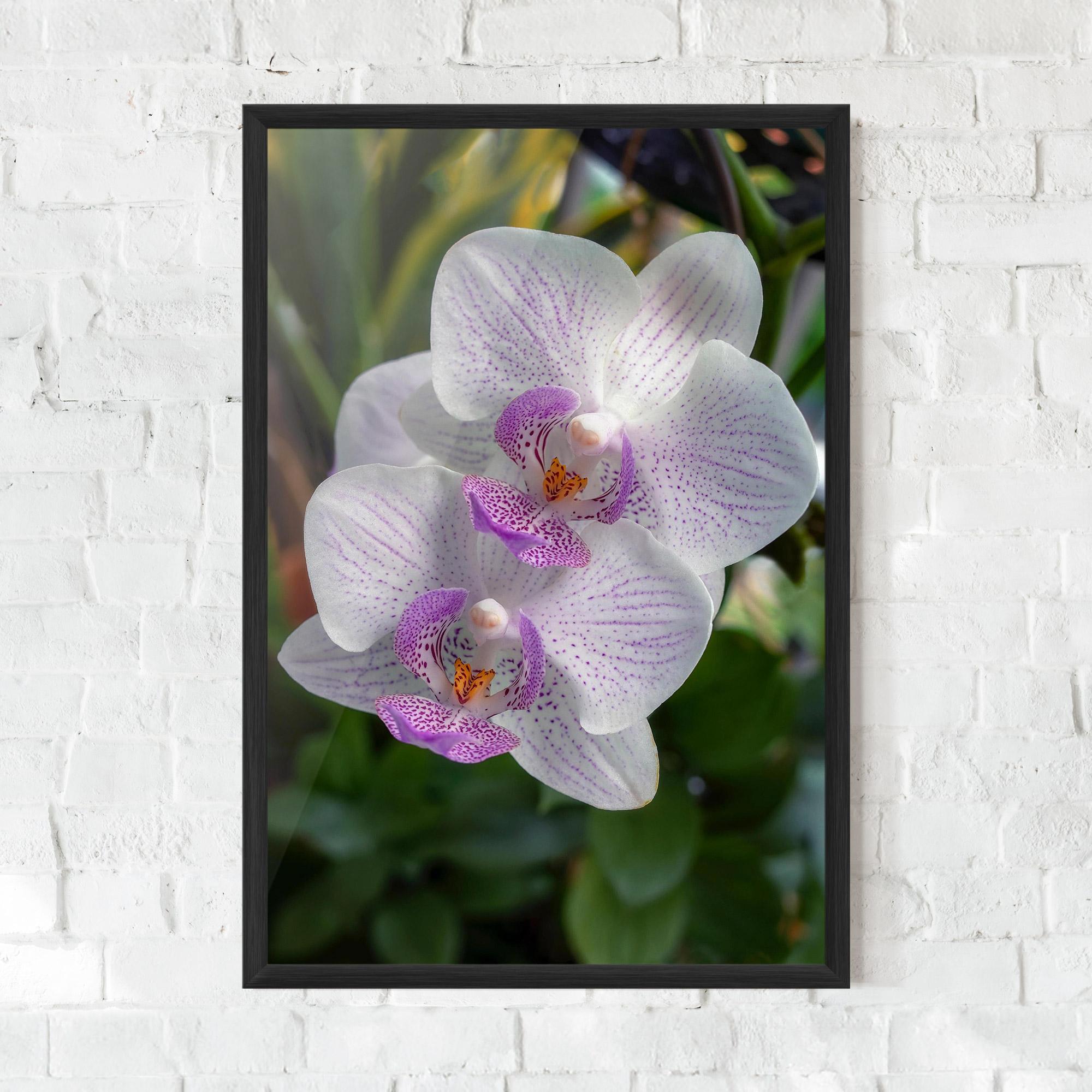 Gerahmte Poster White Orchids mockup 0