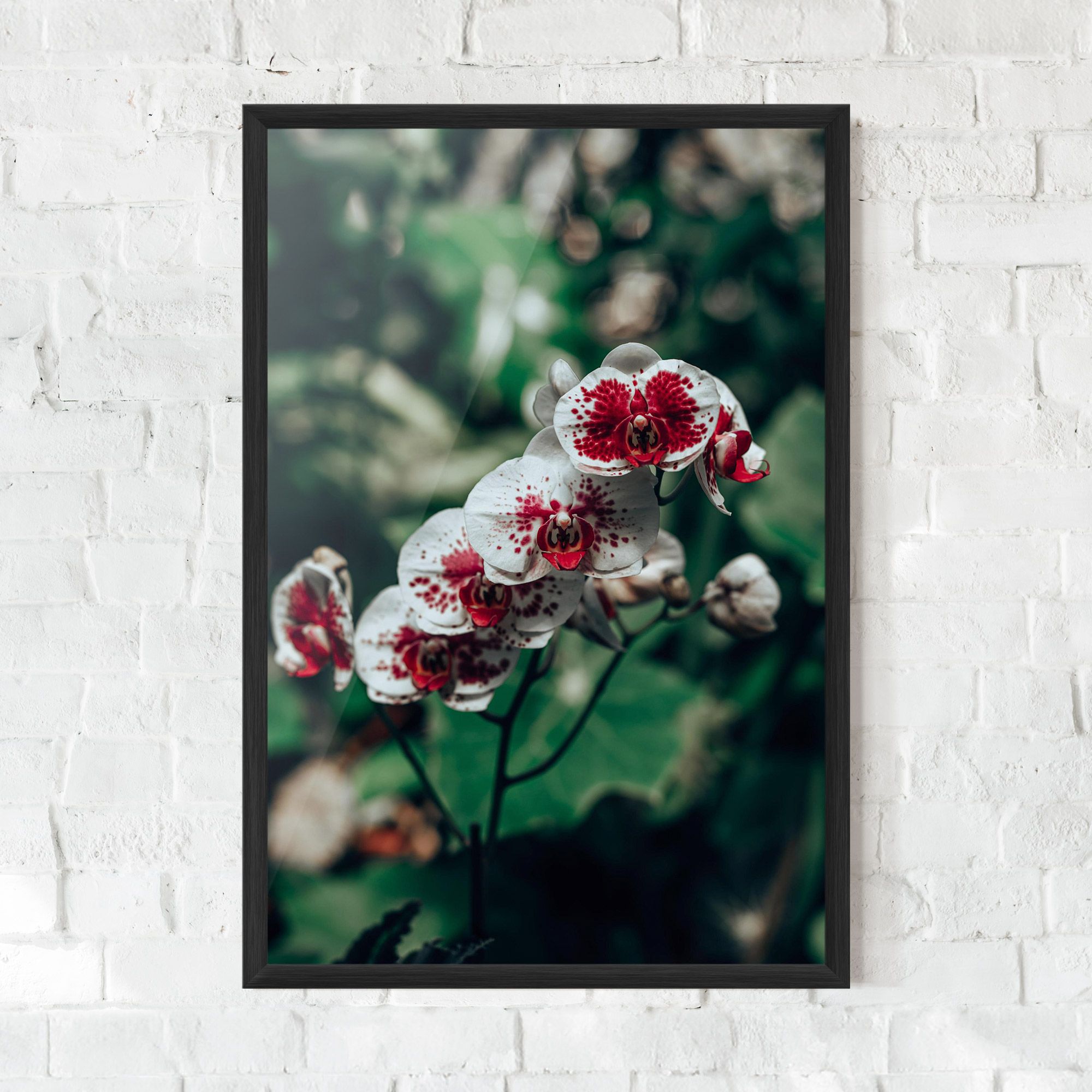White Red Orchid mockup 0