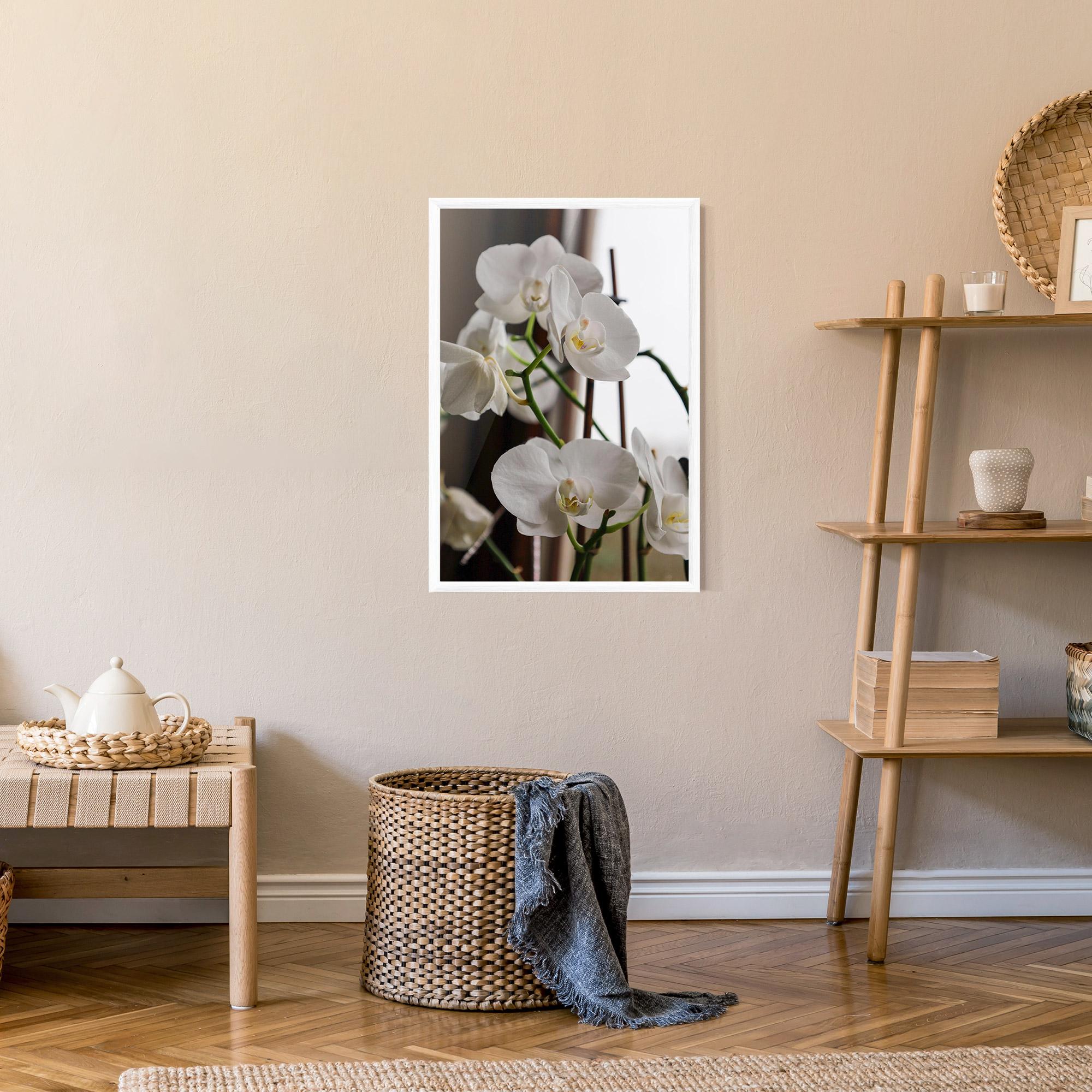 Gerahmte Poster White Orchid Growing mockup 9