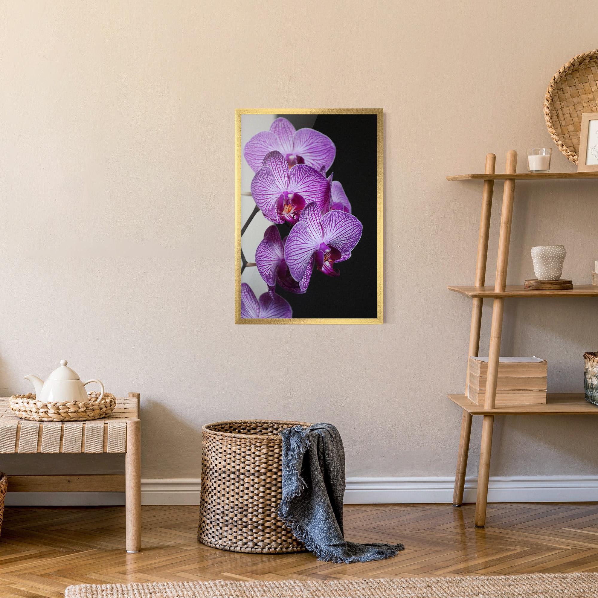 Gerahmte Poster Purple Orchid On Black mockup 9