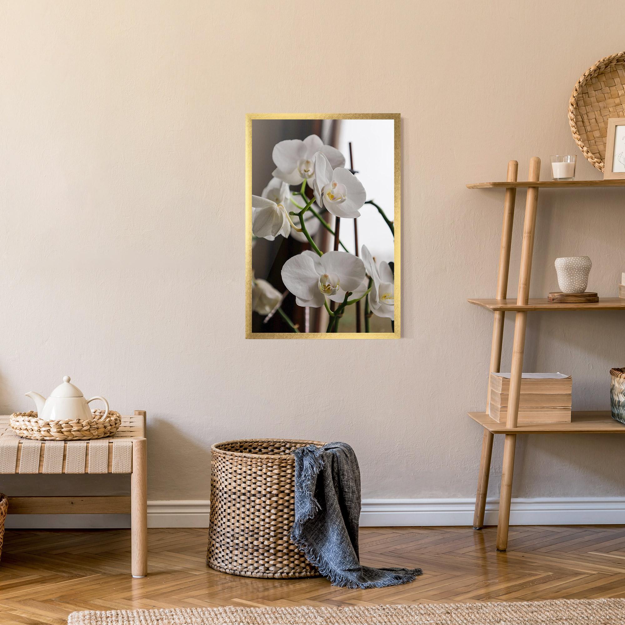 Gerahmte Poster White Orchid Growing mockup 9