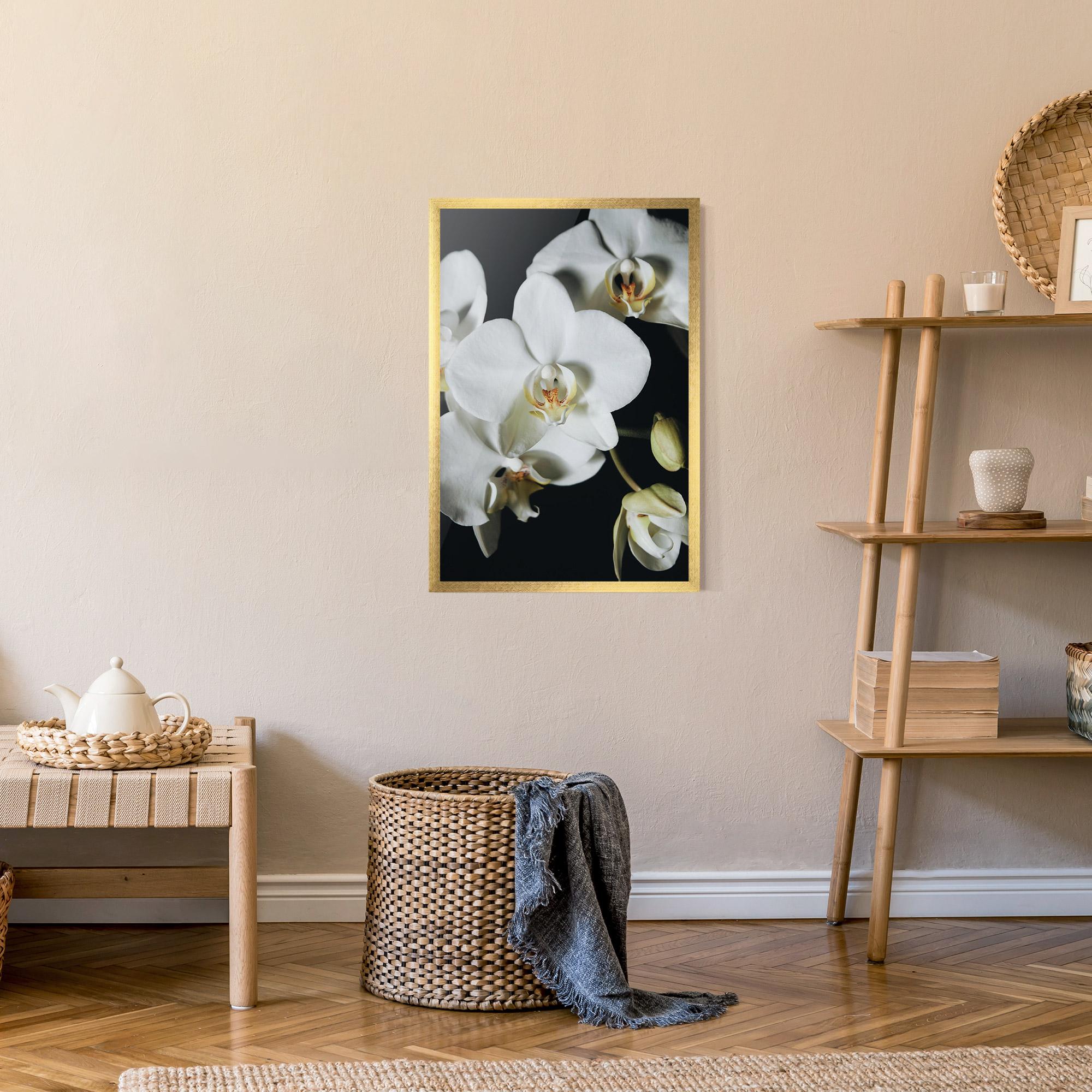Gerahmte Poster White Orchid On Black mockup 9