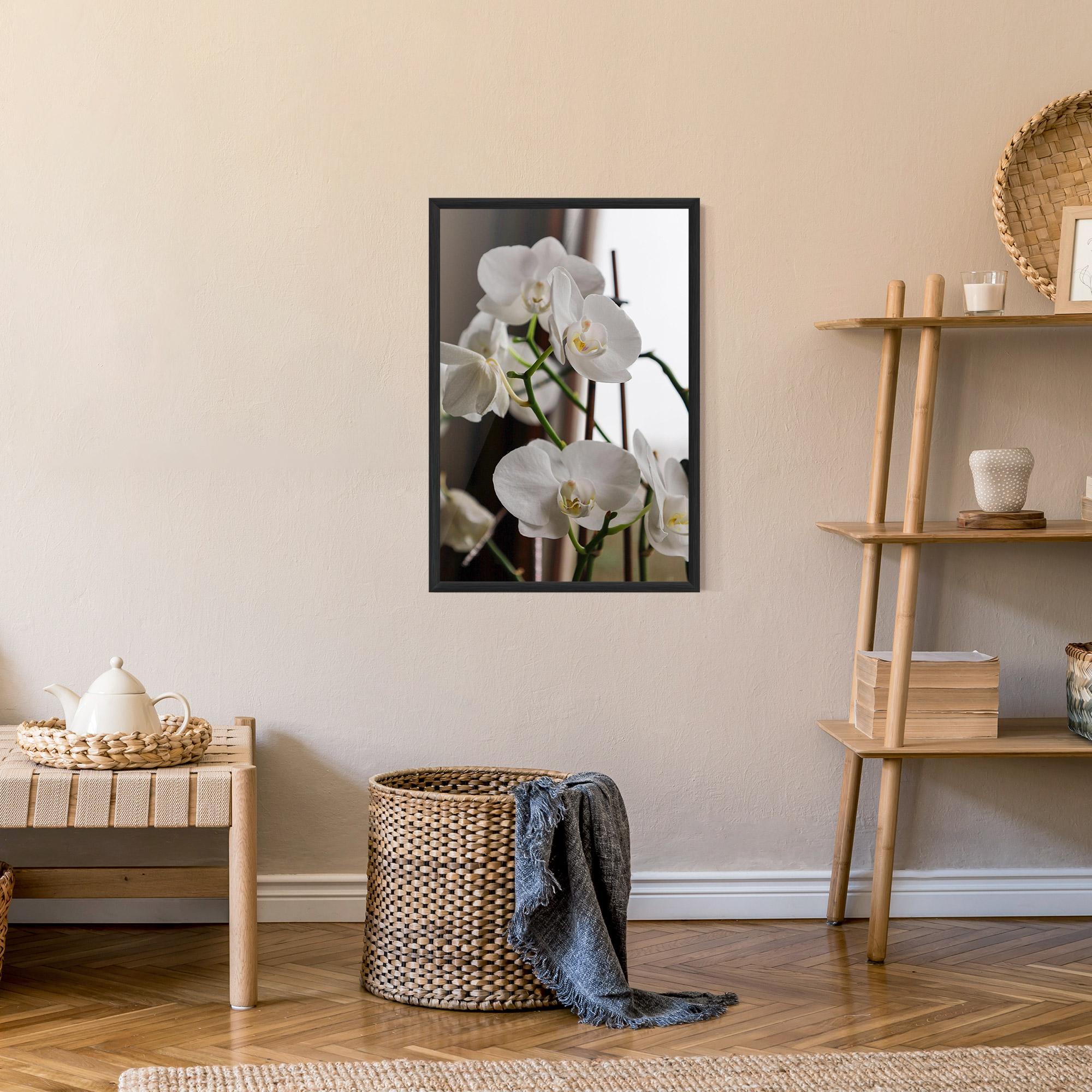 Gerahmte Poster White Orchid Growing mockup 9