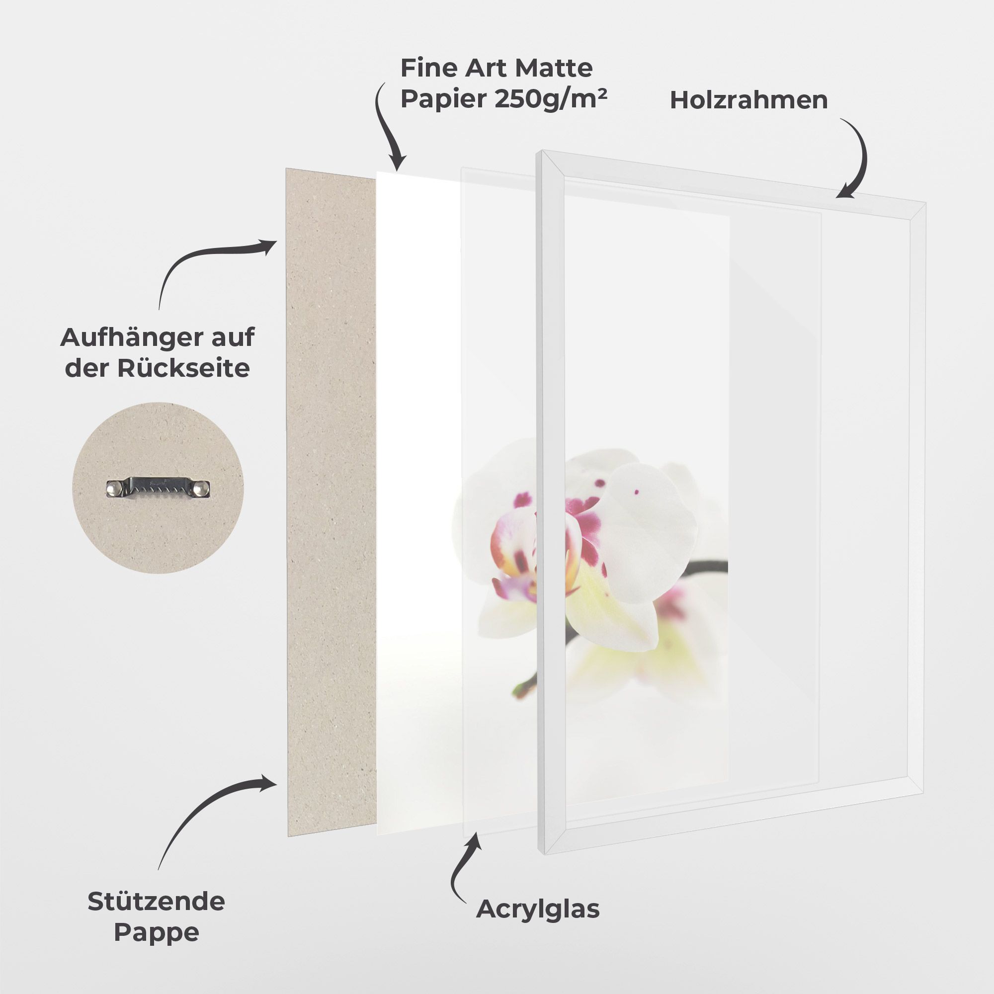 Clean White Orchid mockup 1