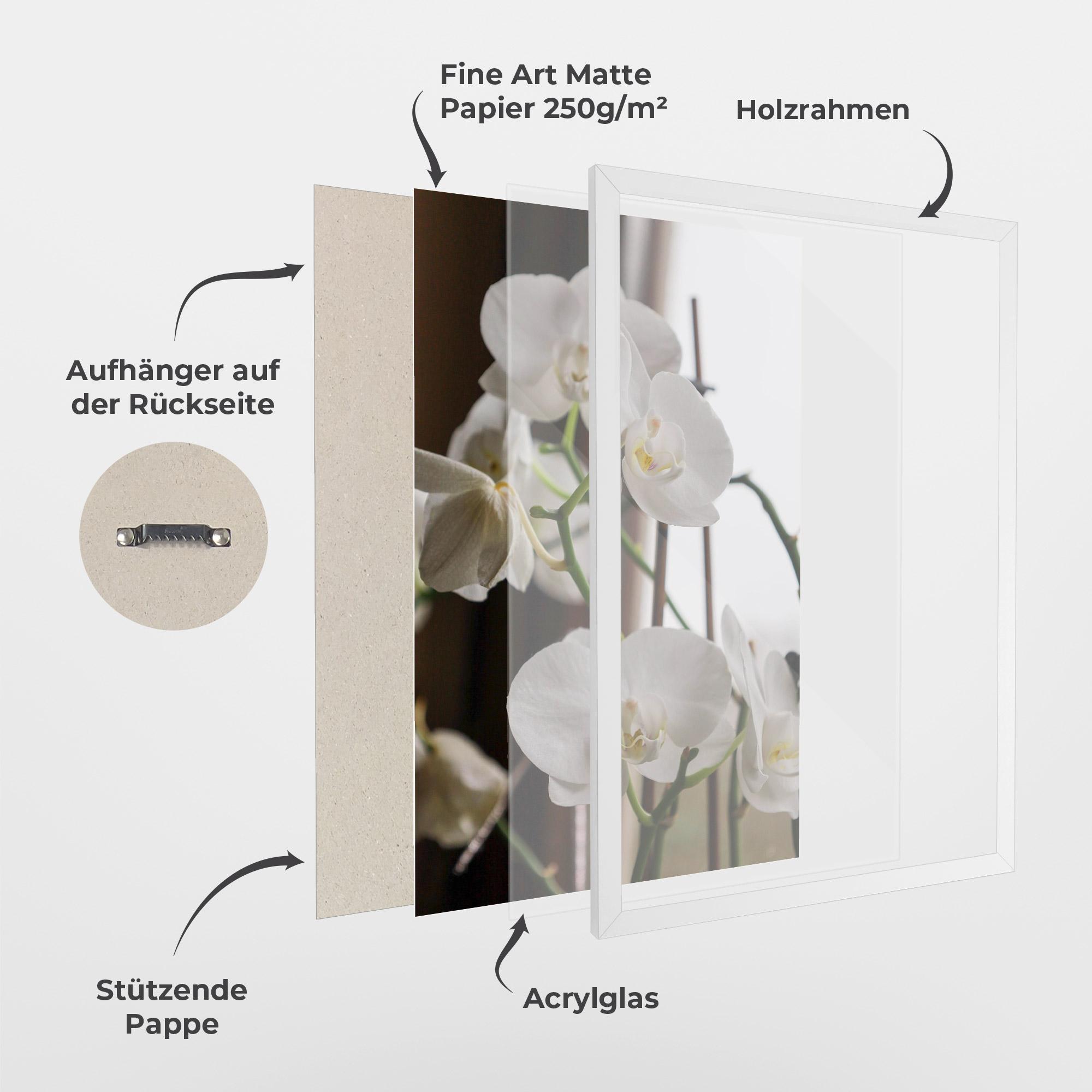 Gerahmte Poster White Orchid Growing mockup 1