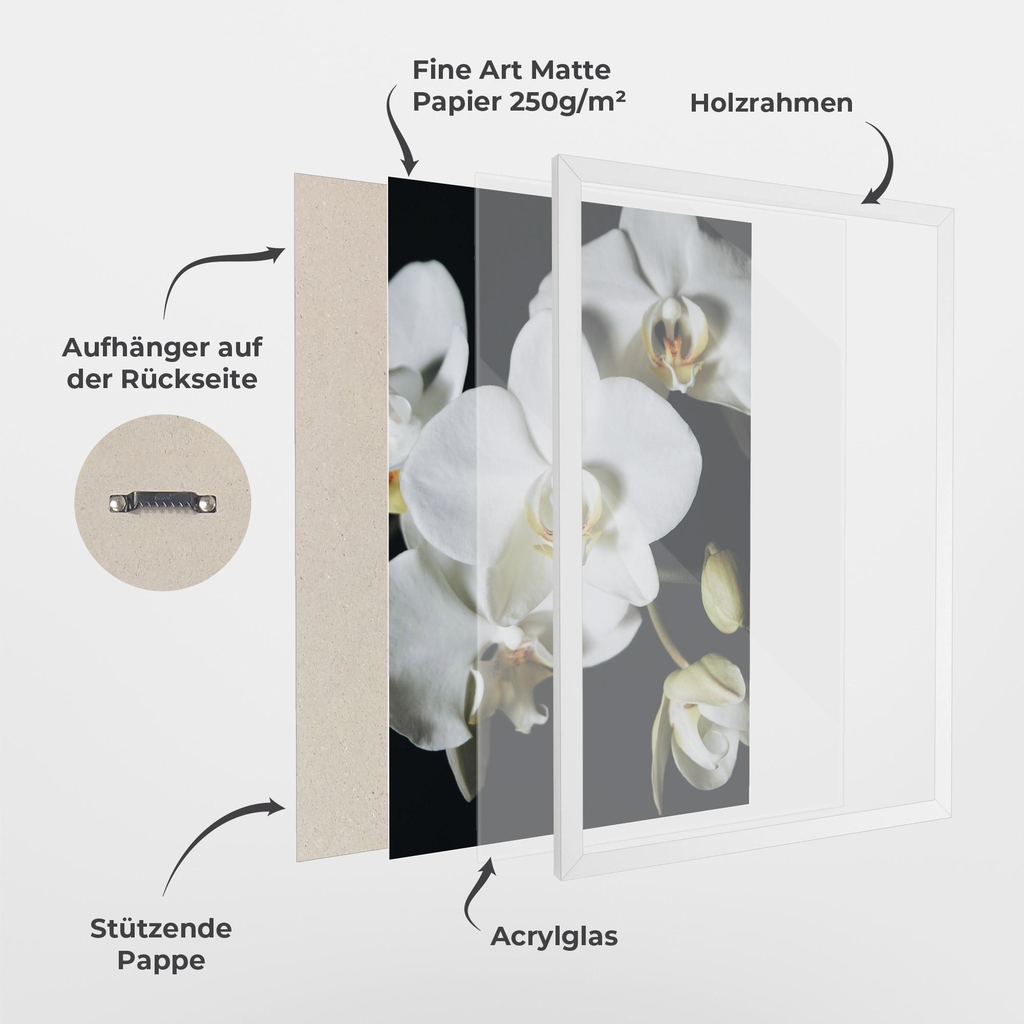 Gerahmte Poster White Orchid On Black mockup 1