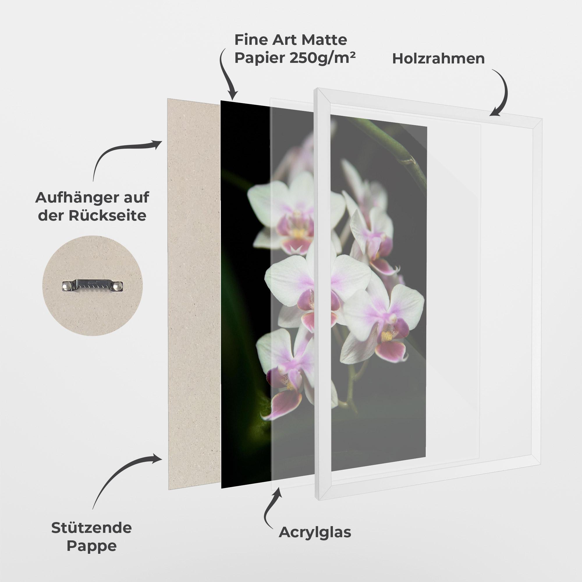 Gerahmte Poster Wild White Purple Orchid mockup 1