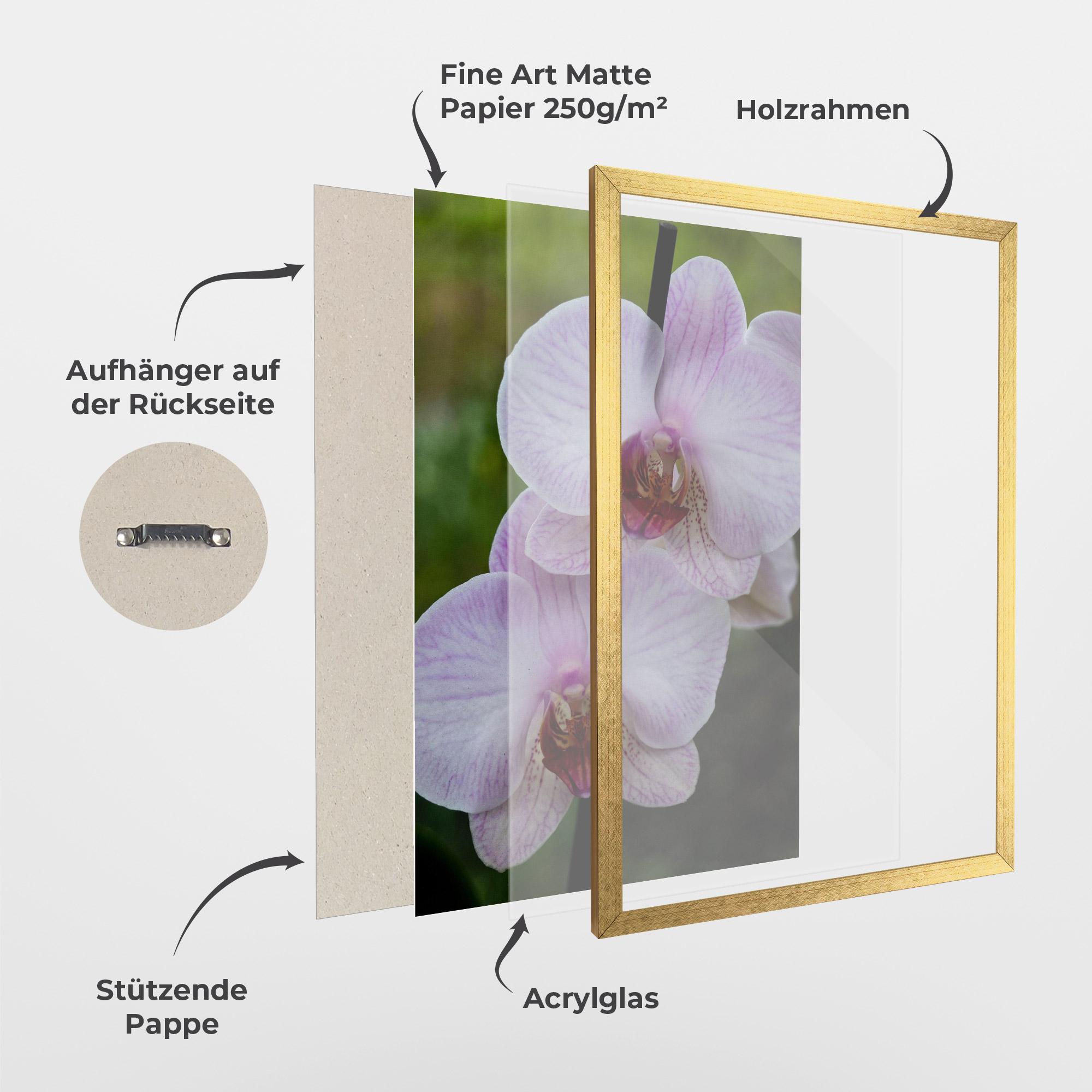 Gerahmte Poster Garden Light Purple Orchid mockup 1