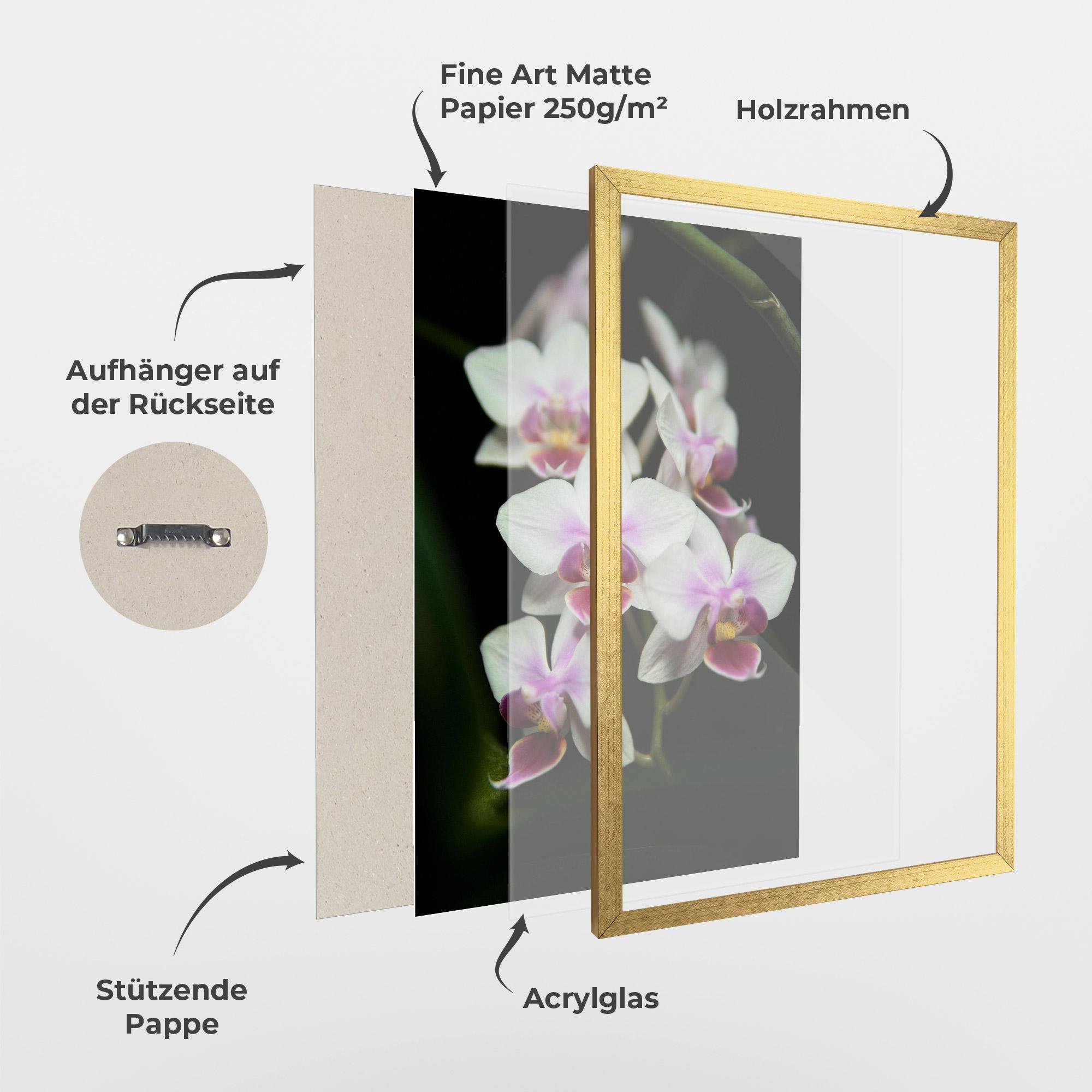 Gerahmte Poster Wild White Purple Orchid mockup 1