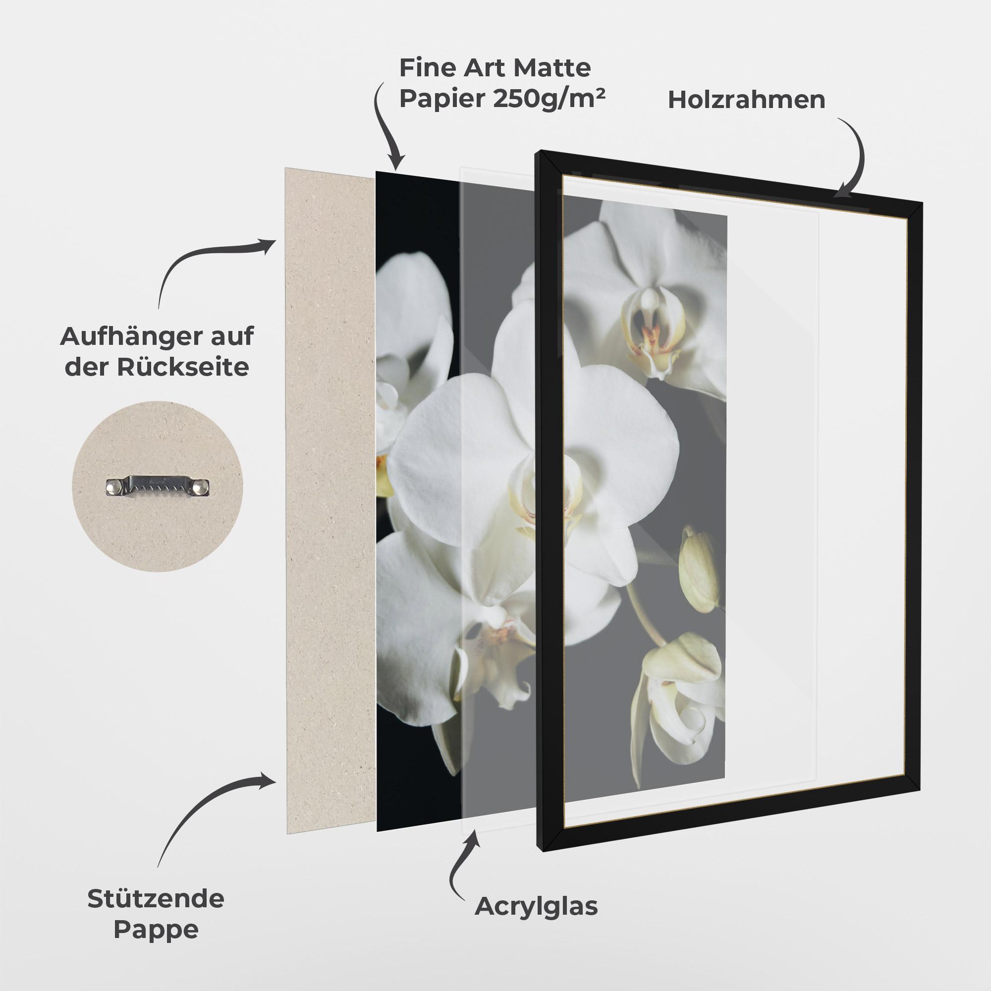 Gerahmte Poster White Orchid On Black mockup 1