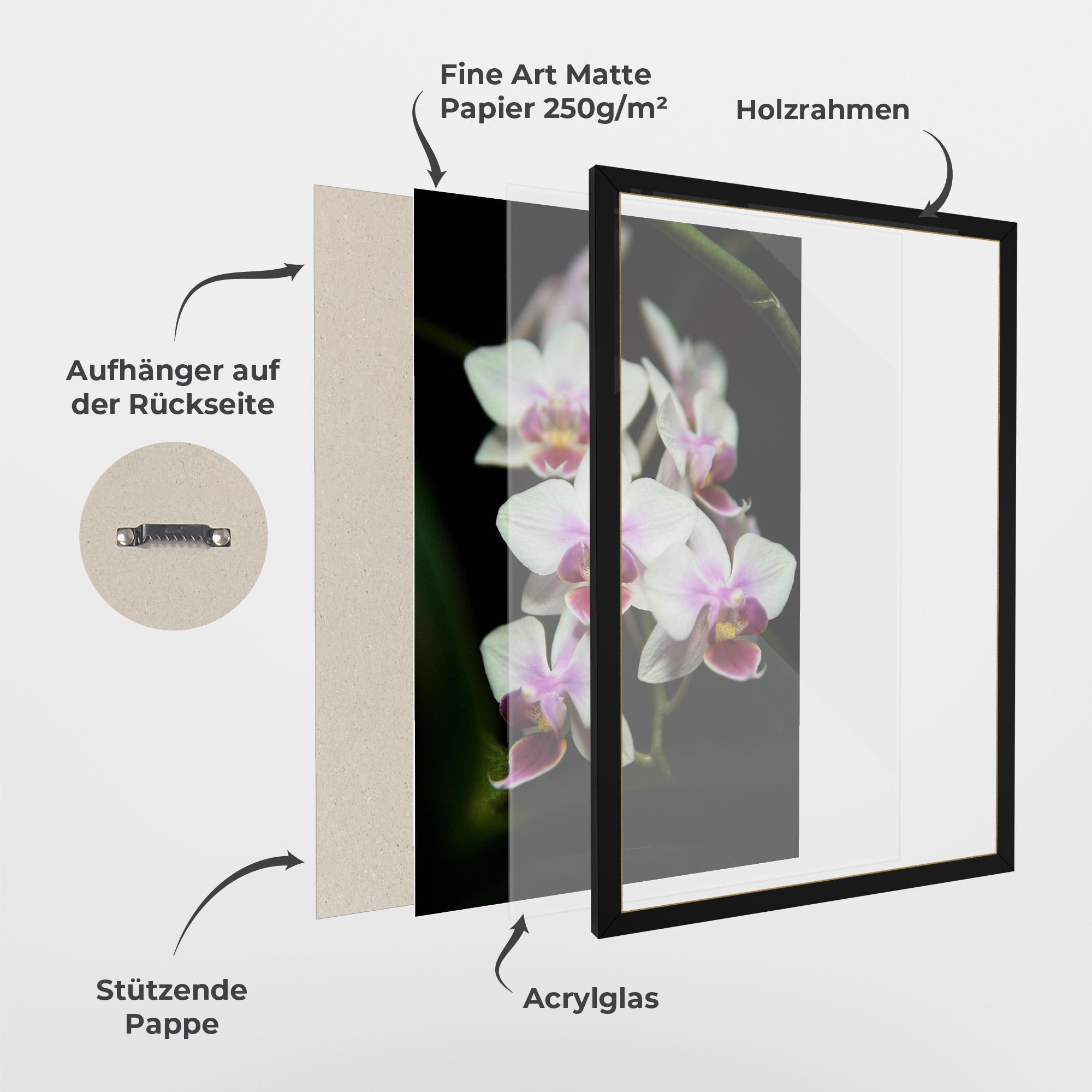 Gerahmte Poster Wild White Purple Orchid mockup 1
