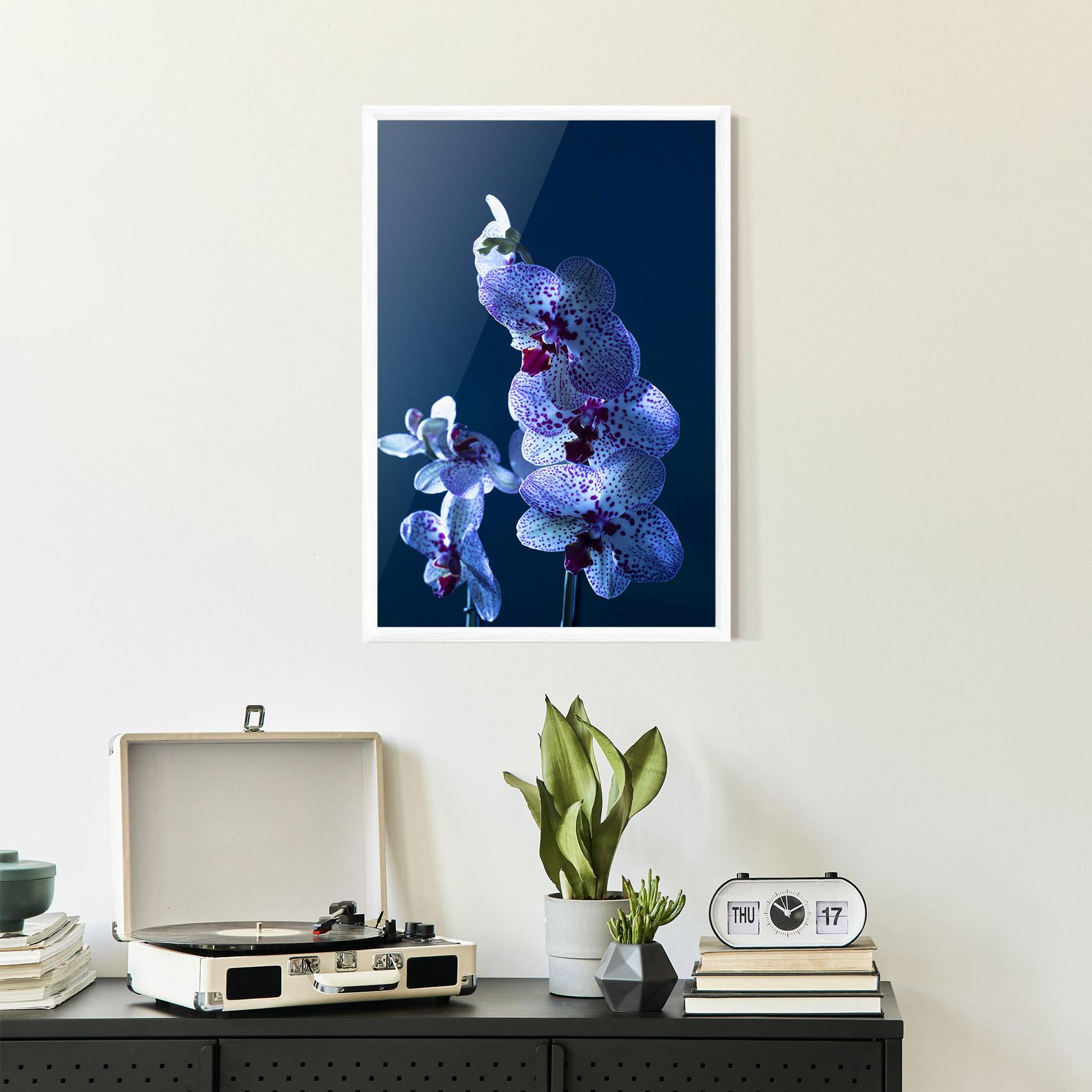 Gerahmte Poster Blue Light Orchid mockup 2