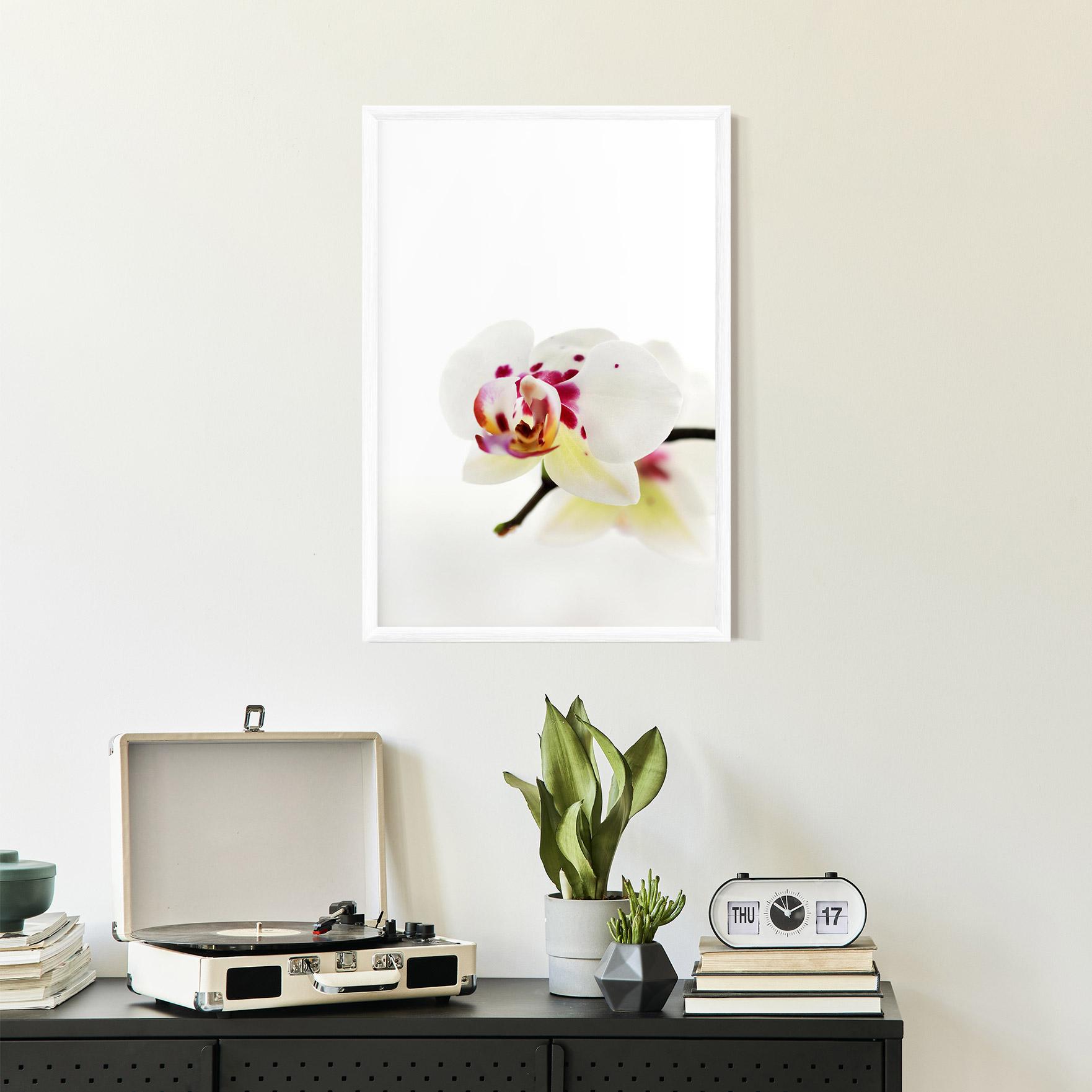 Gerahmte Poster Clean White Orchid mockup 2