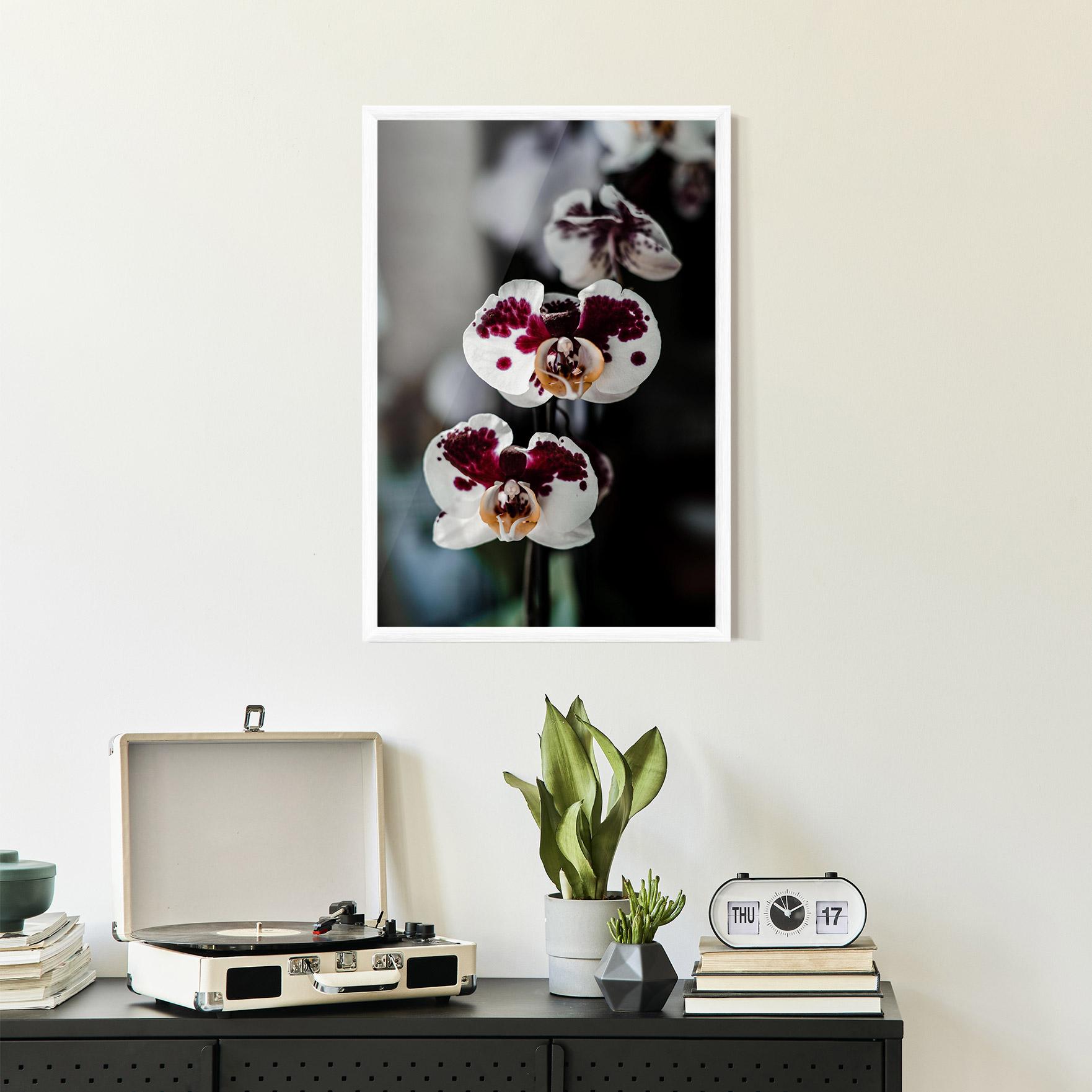 Gerahmte Poster Dark Purple Orchid mockup 2