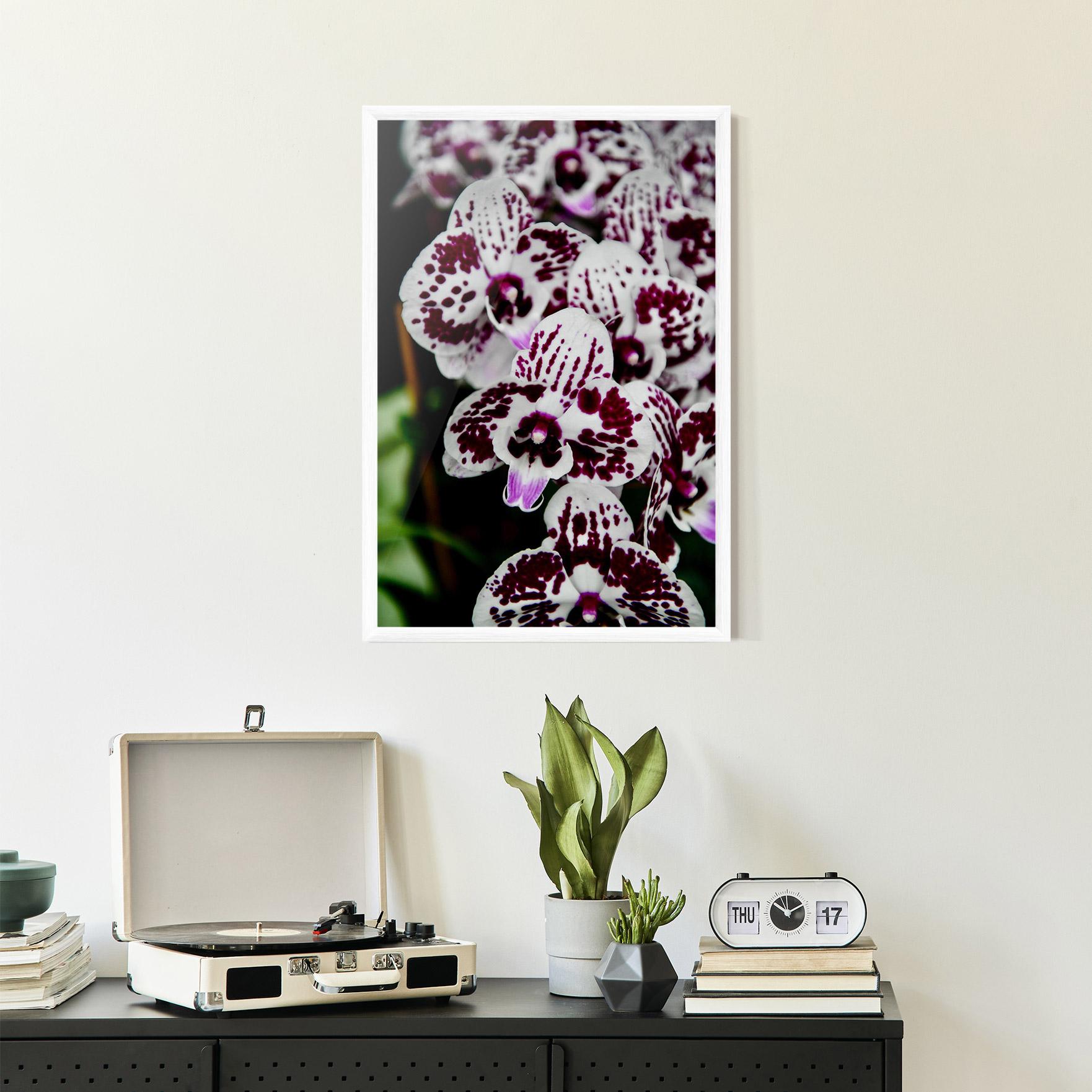 Gerahmte Poster Dark Purple Orchids mockup 2