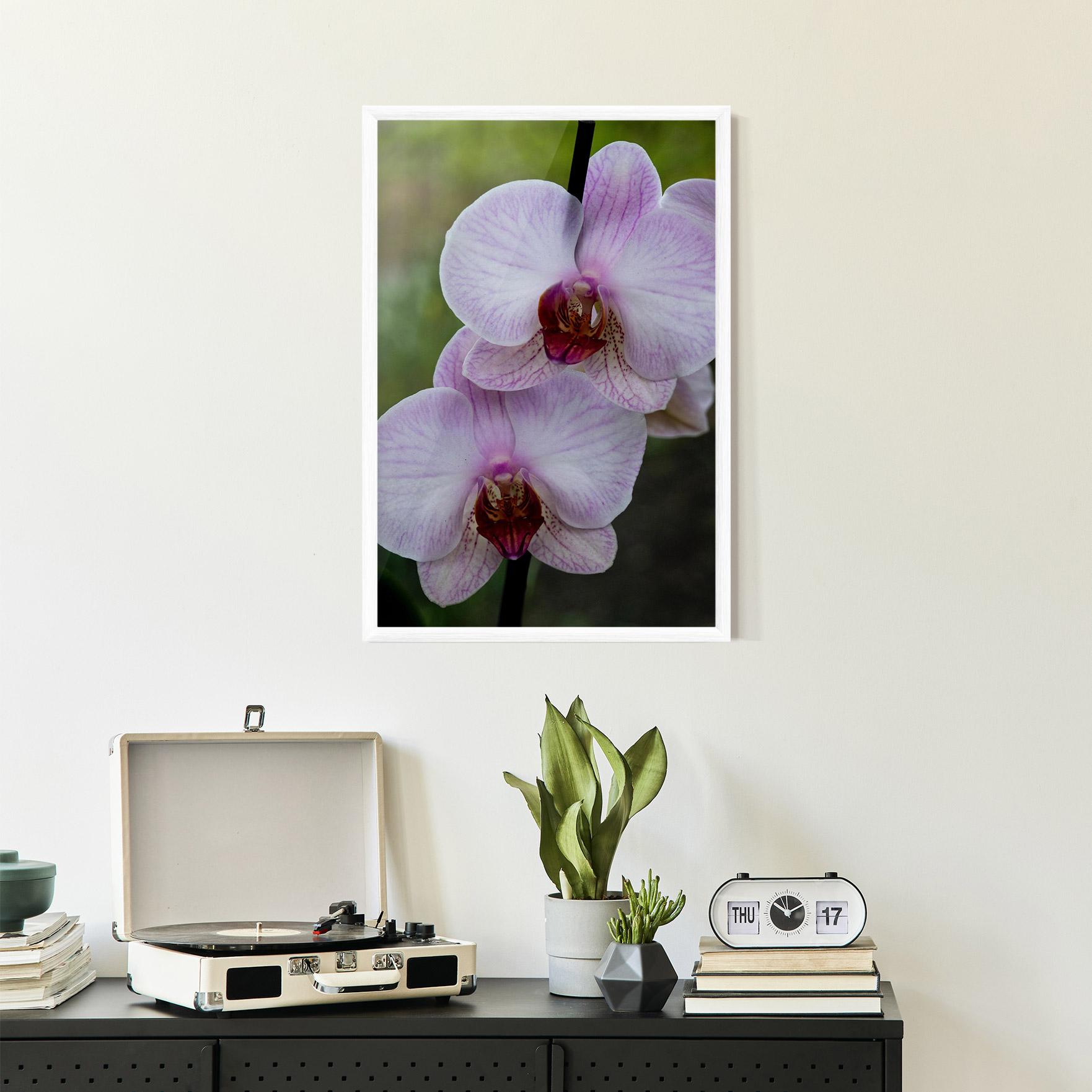 Gerahmte Poster Garden Light Purple Orchid mockup 2