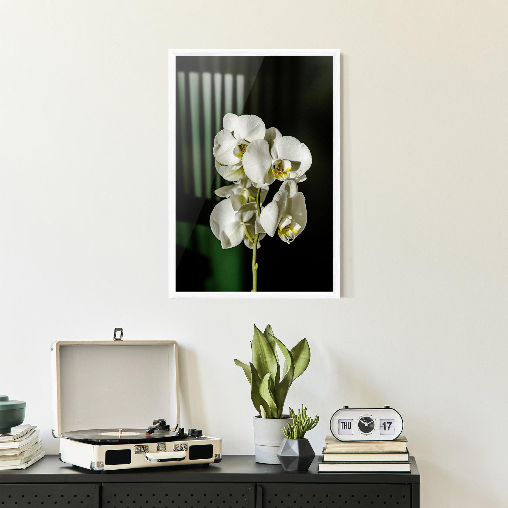Gerahmte Poster Orchid On Green mockup 2