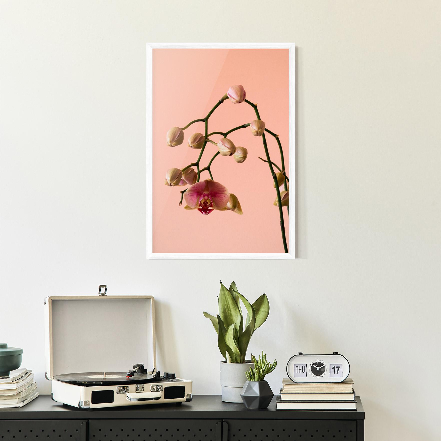 Gerahmte Poster Orchids On Pink mockup 2