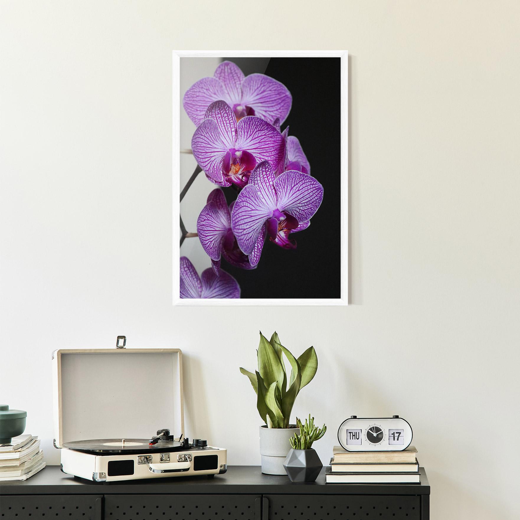 Gerahmte Poster Purple Orchid On Black mockup 2