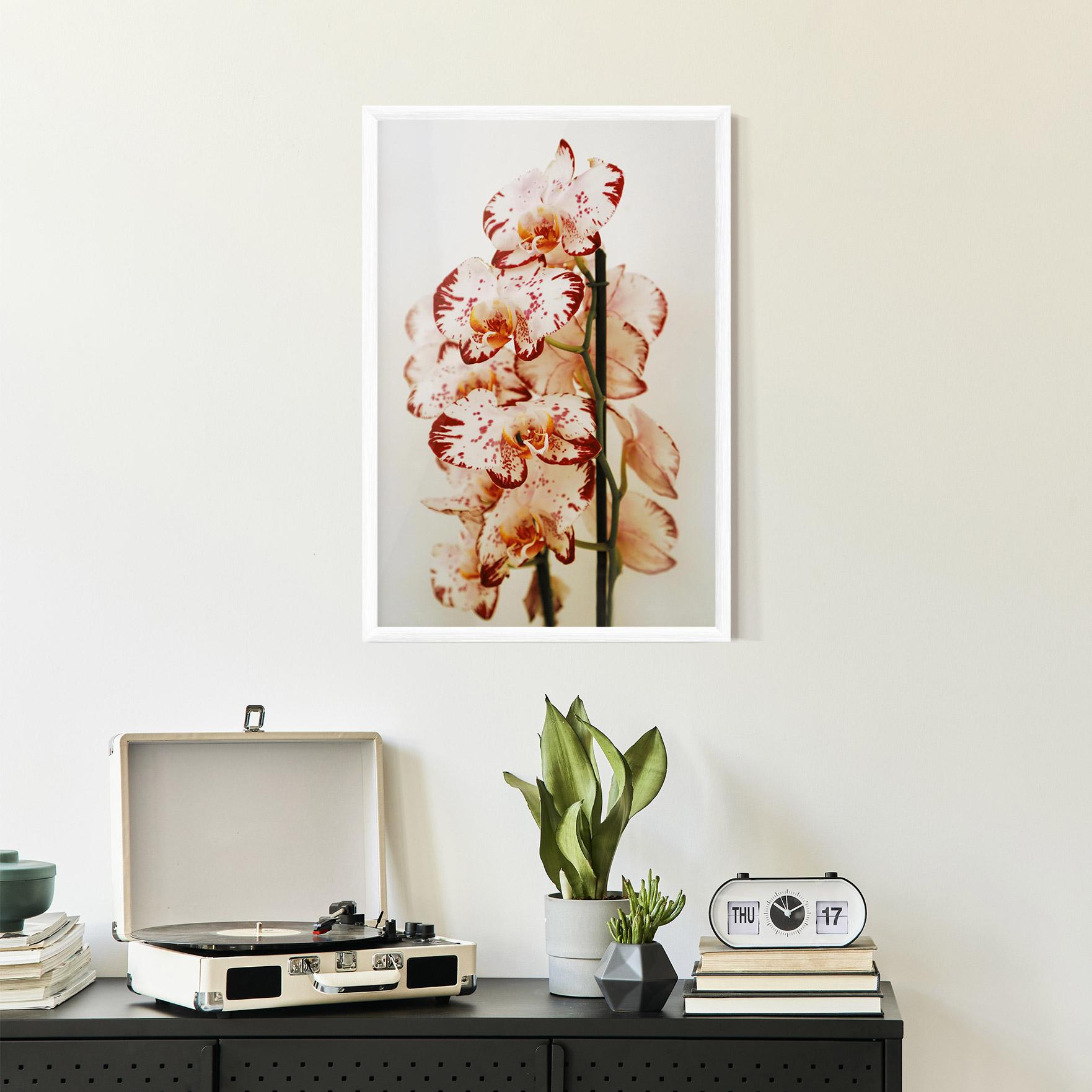 Gerahmte Poster Red White Orchids mockup 2