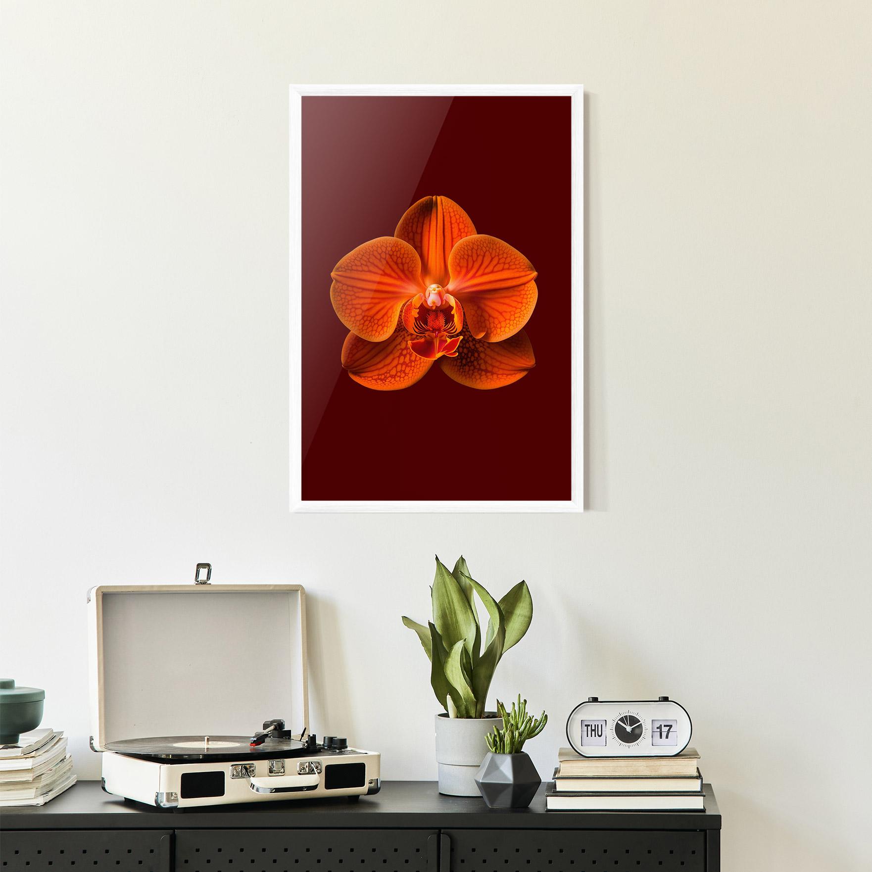 Gerahmte Poster Strong Orange Orchid mockup 2