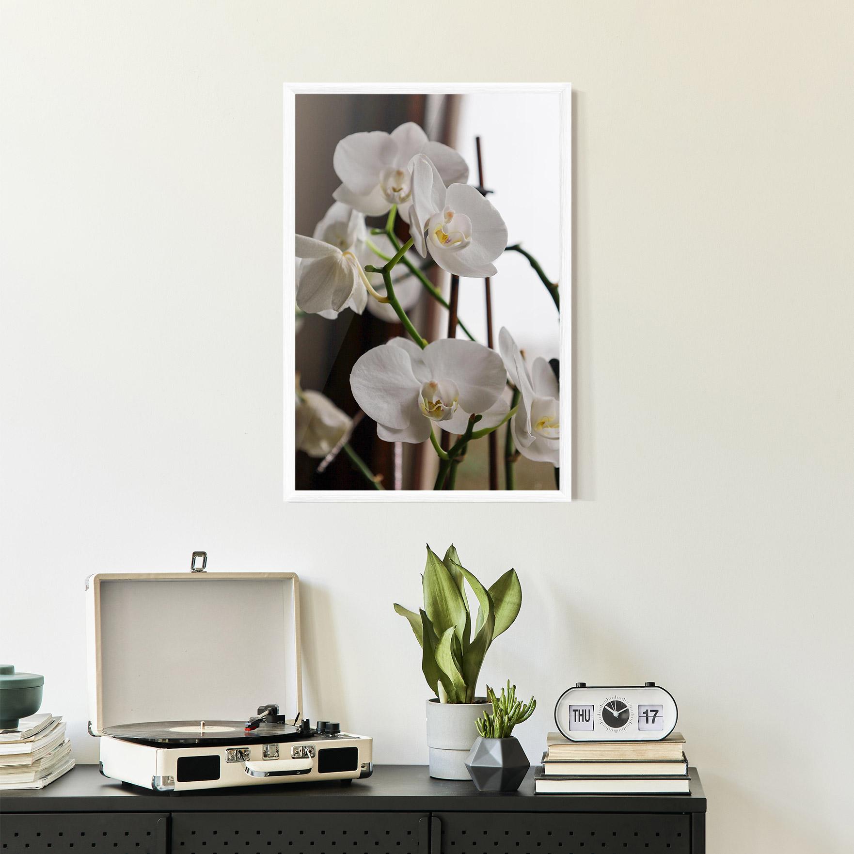 Gerahmte Poster White Orchid Growing mockup 2