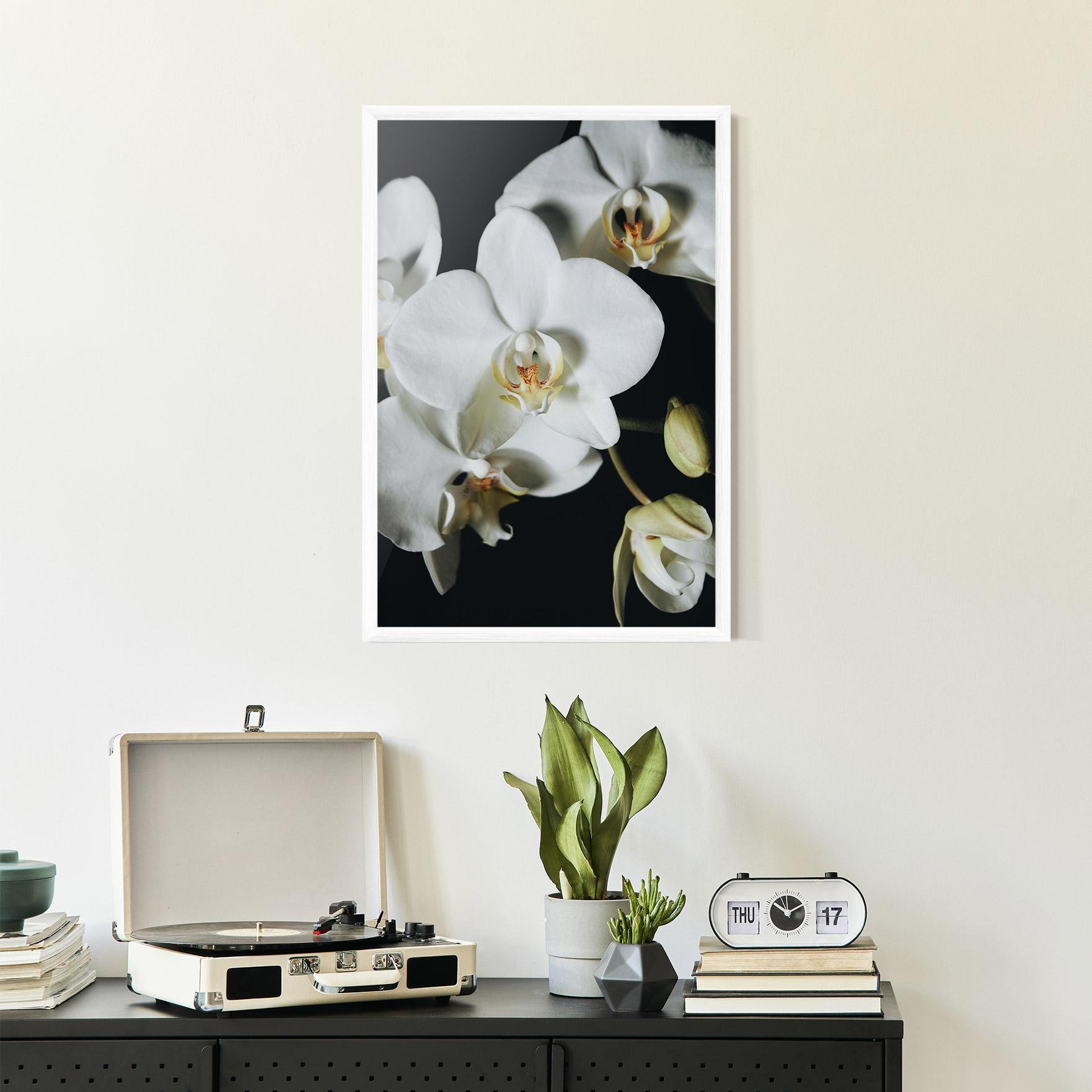 Gerahmte Poster White Orchid On Black mockup 2