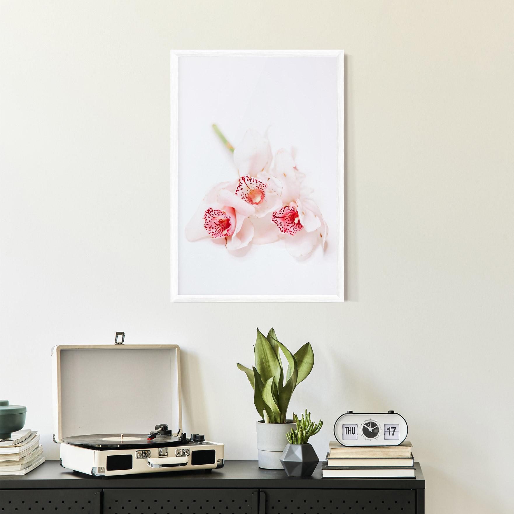 Gerahmte Poster White Orchid With Pink mockup 2