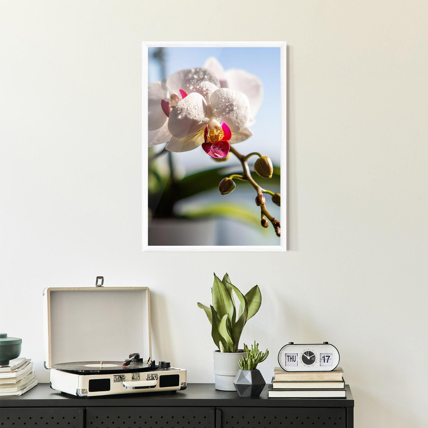 Gerahmte Poster White Orchid With Water mockup 2