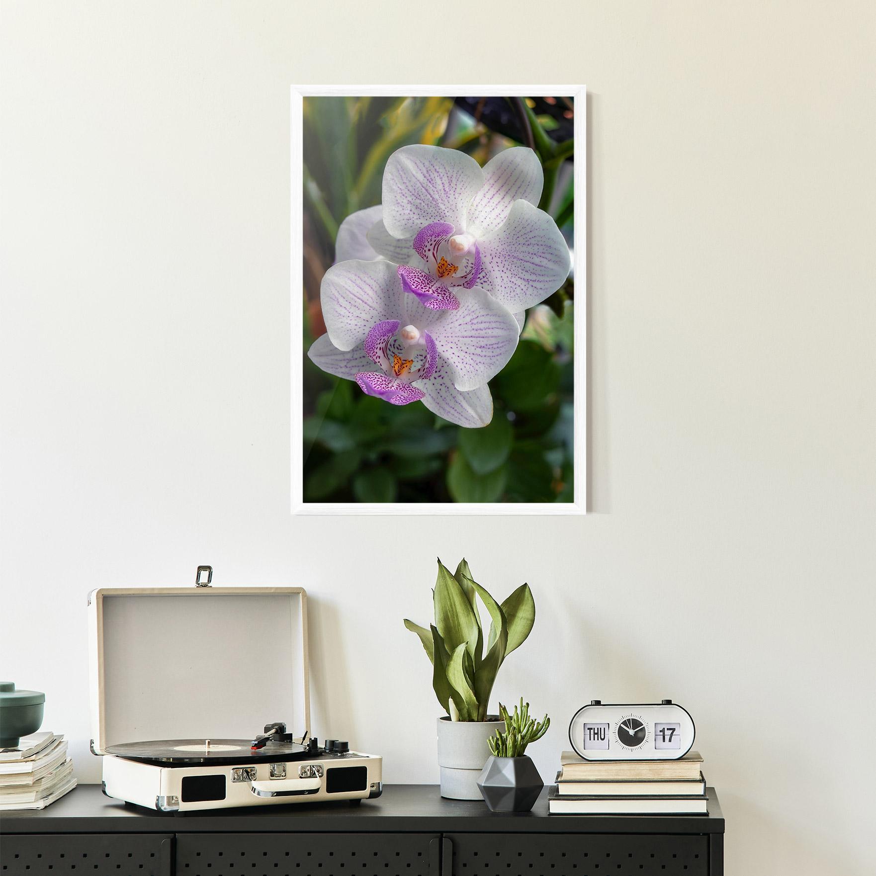 Gerahmte Poster White Orchids mockup 2
