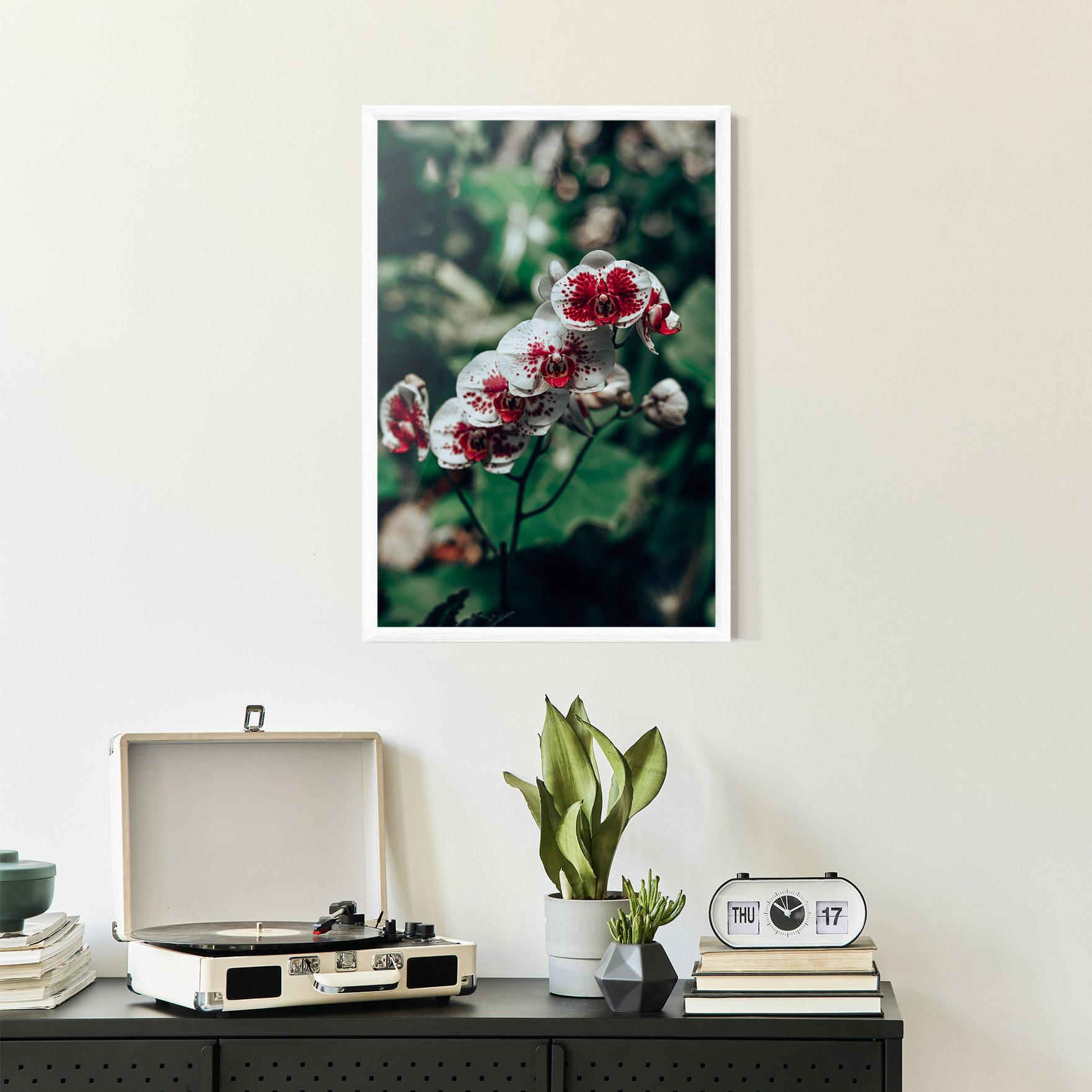 Gerahmte Poster White Red Orchid mockup 2