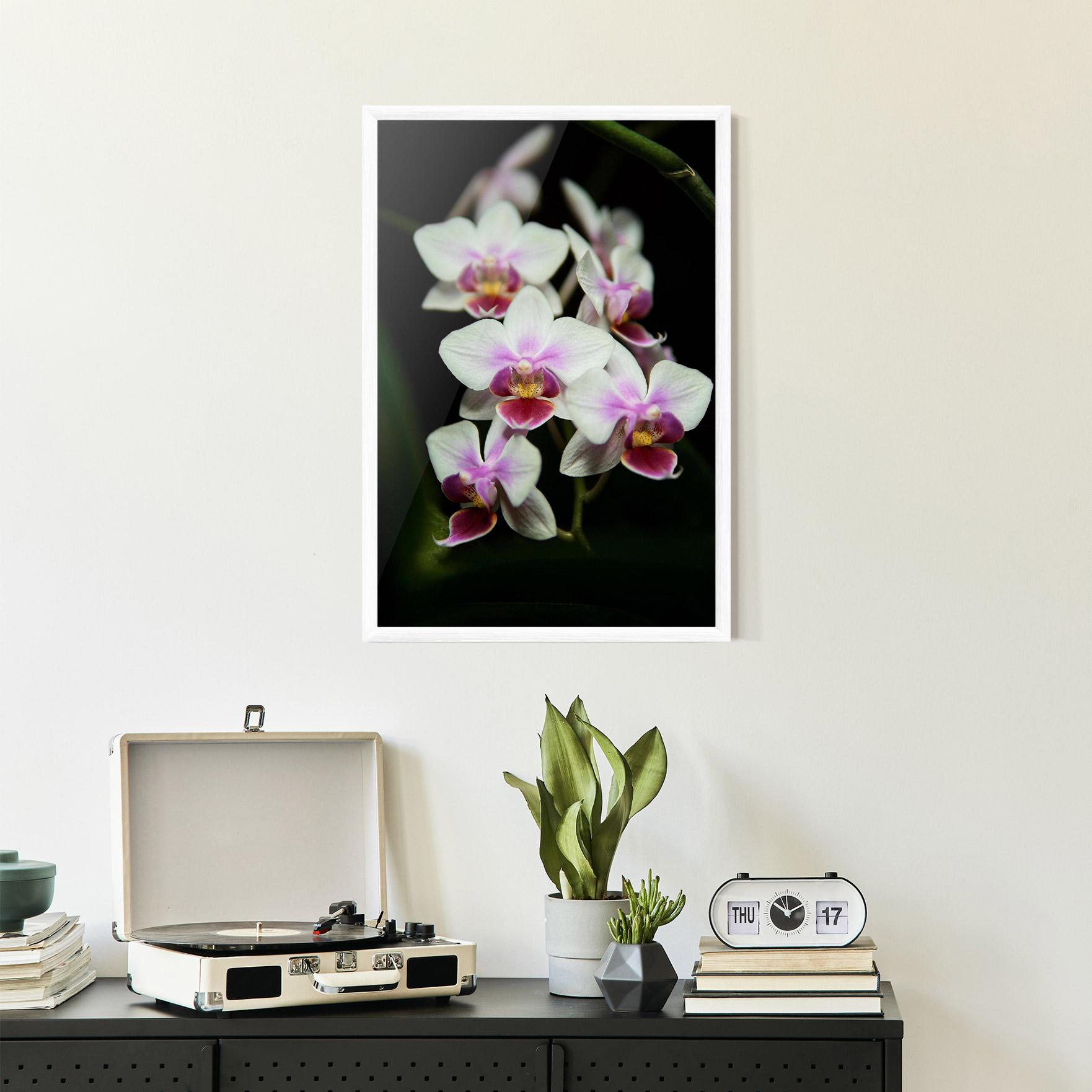 Gerahmte Poster Wild White Purple Orchid mockup 2