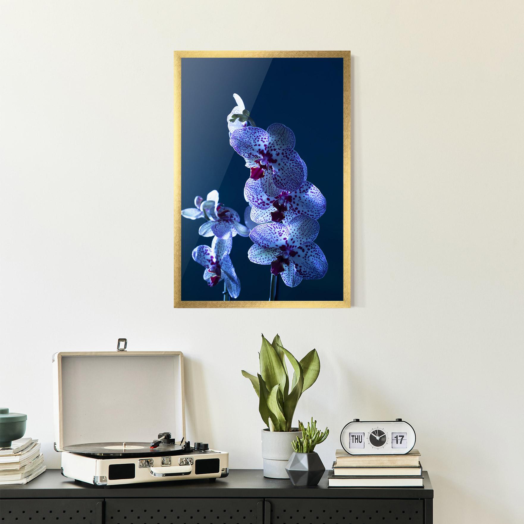 Gerahmte Poster Blue Light Orchid mockup 2
