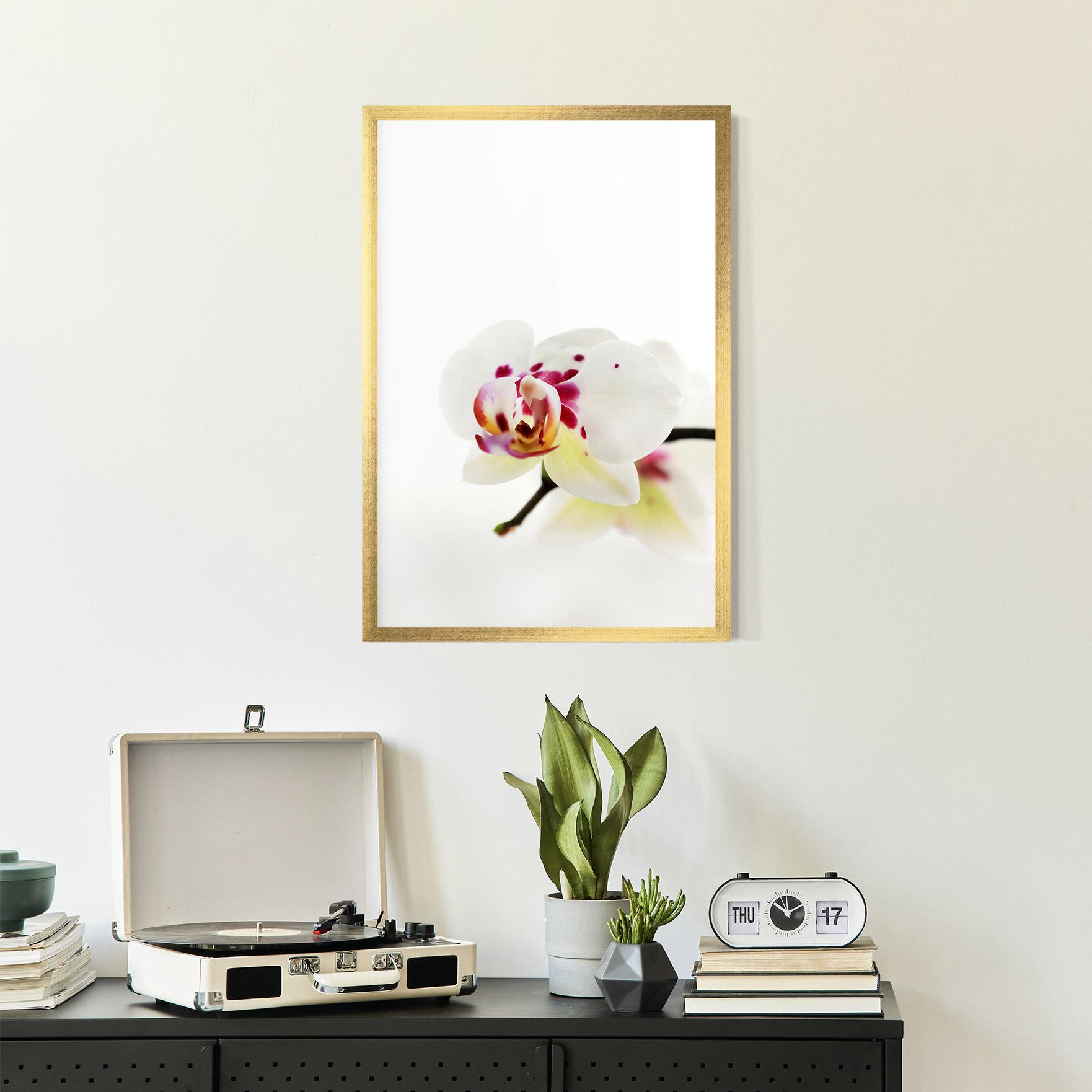 Gerahmte Poster Clean White Orchid mockup 2