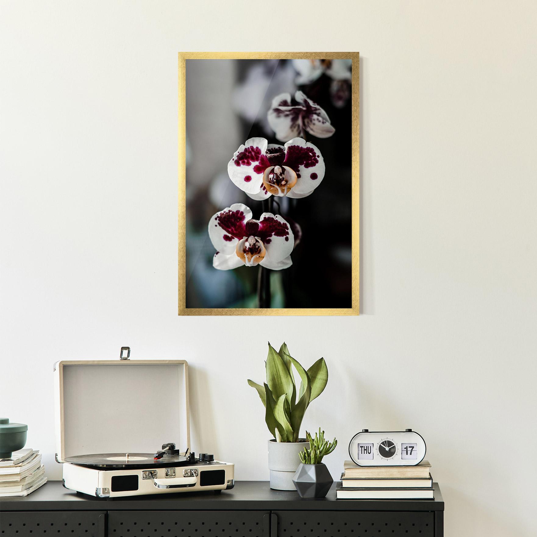 Gerahmte Poster Dark Purple Orchid mockup 2