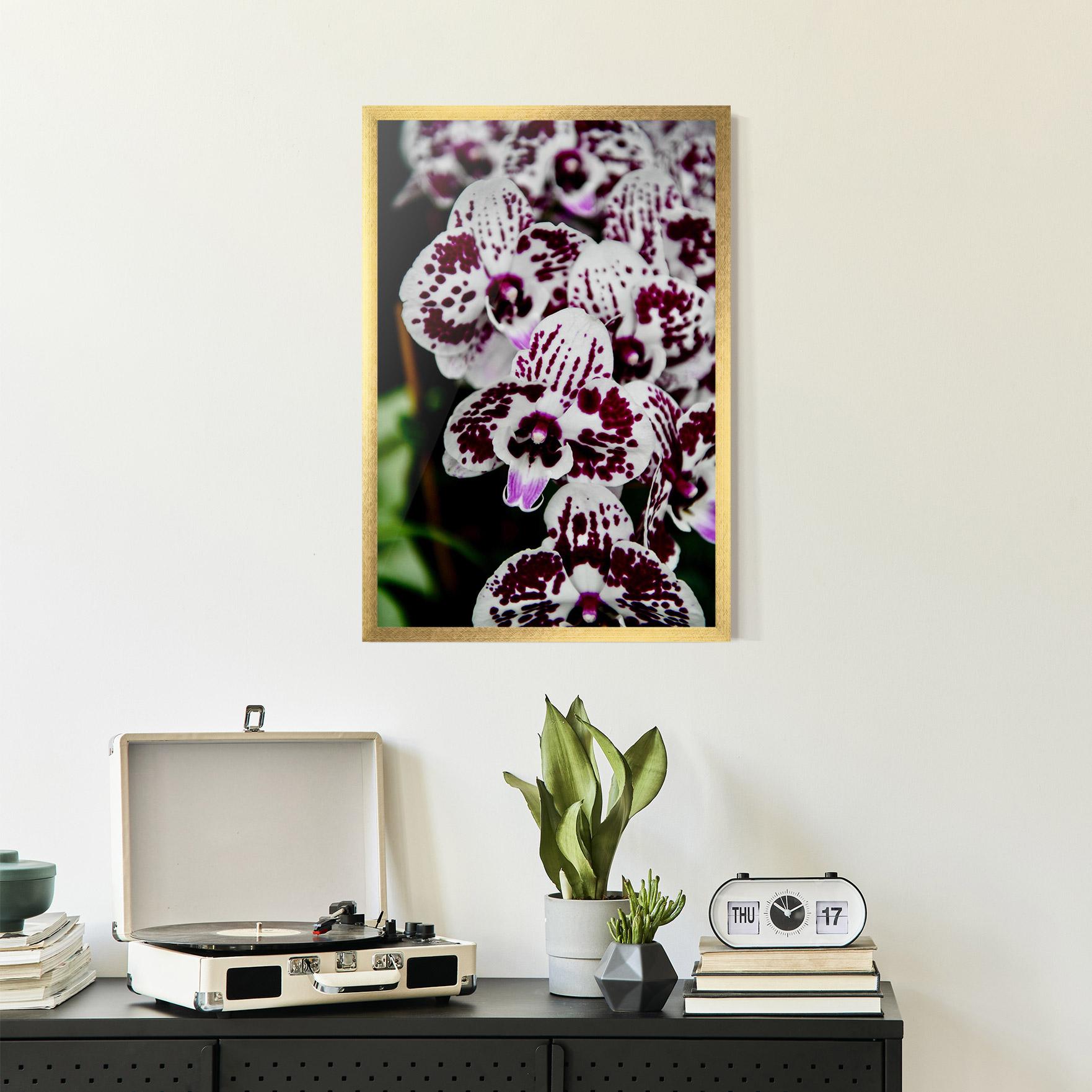 Gerahmte Poster Dark Purple Orchids mockup 2