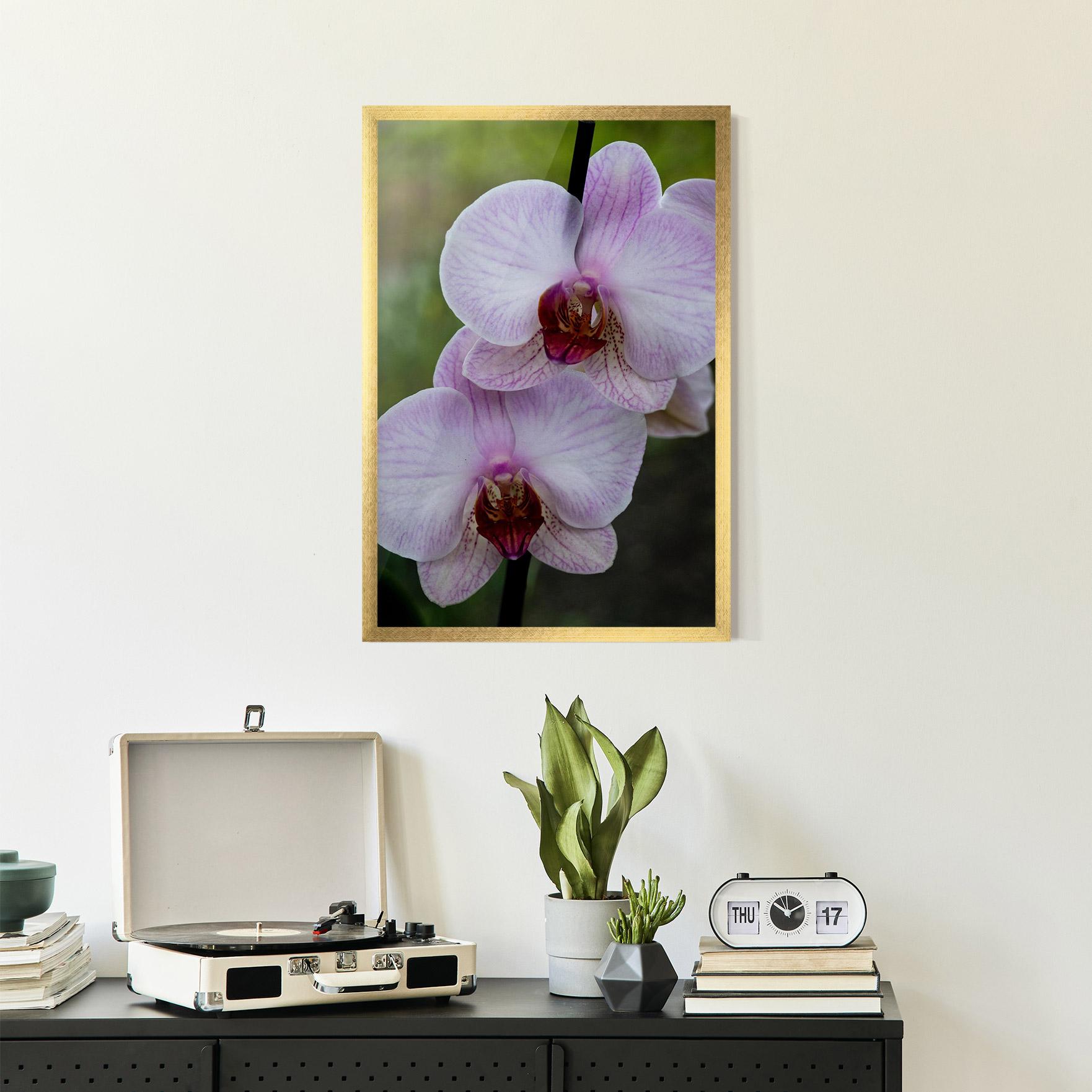 Gerahmte Poster Garden Light Purple Orchid mockup 2