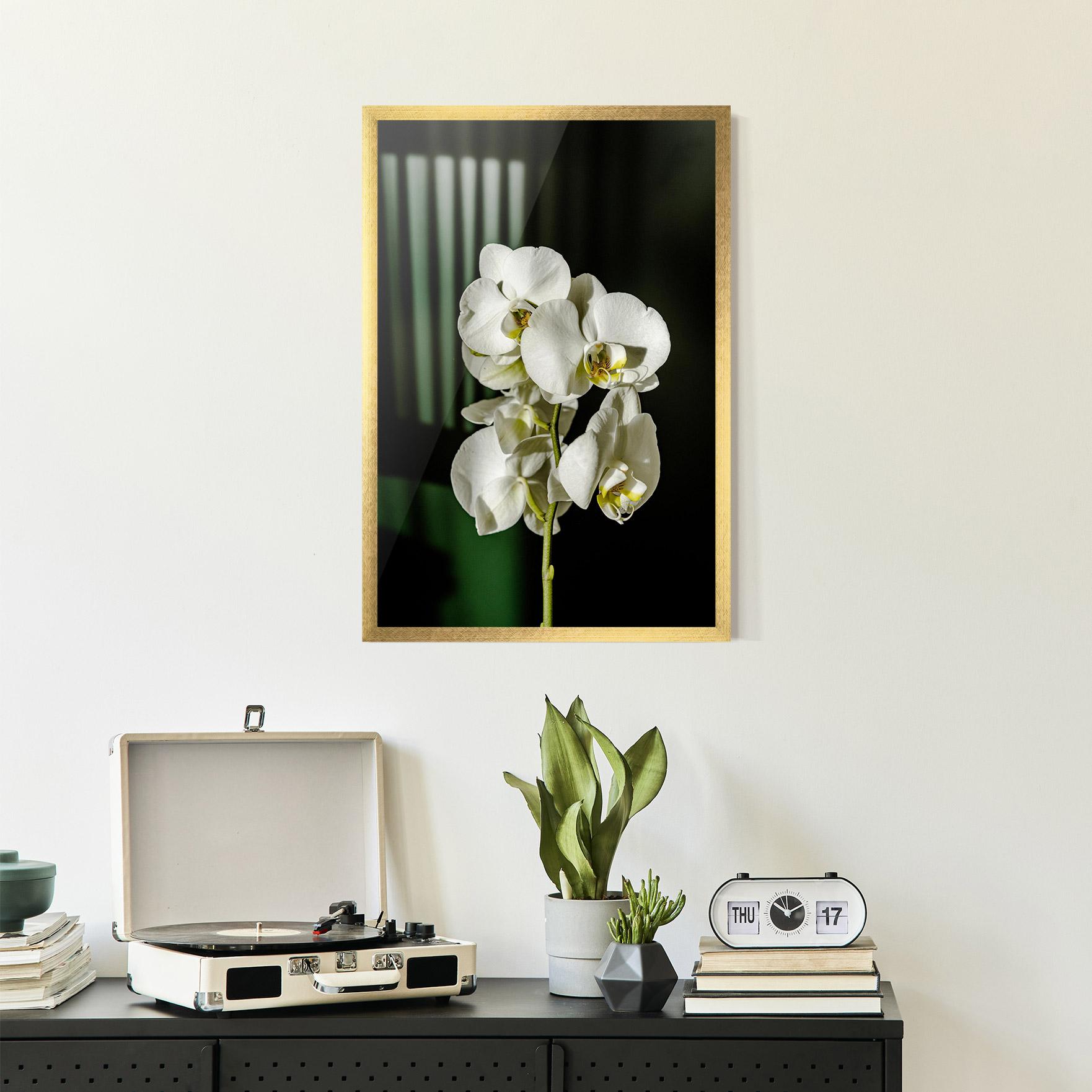 Gerahmte Poster Orchid On Green mockup 2