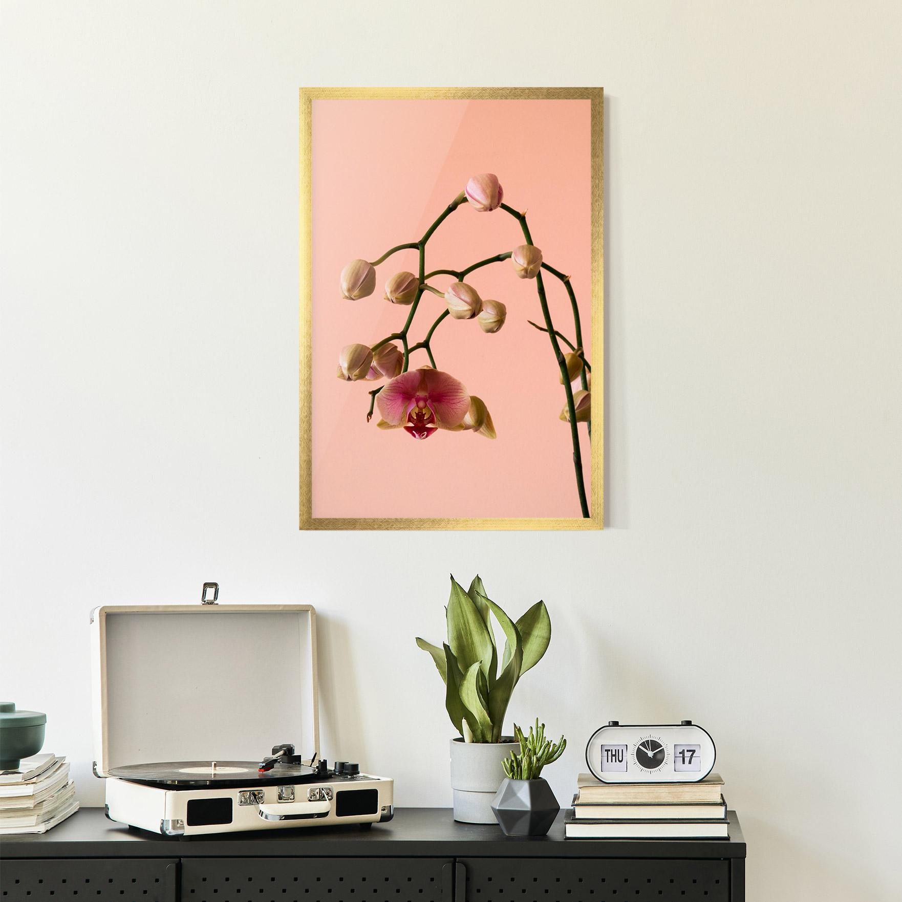 Gerahmte Poster Orchids On Pink mockup 2